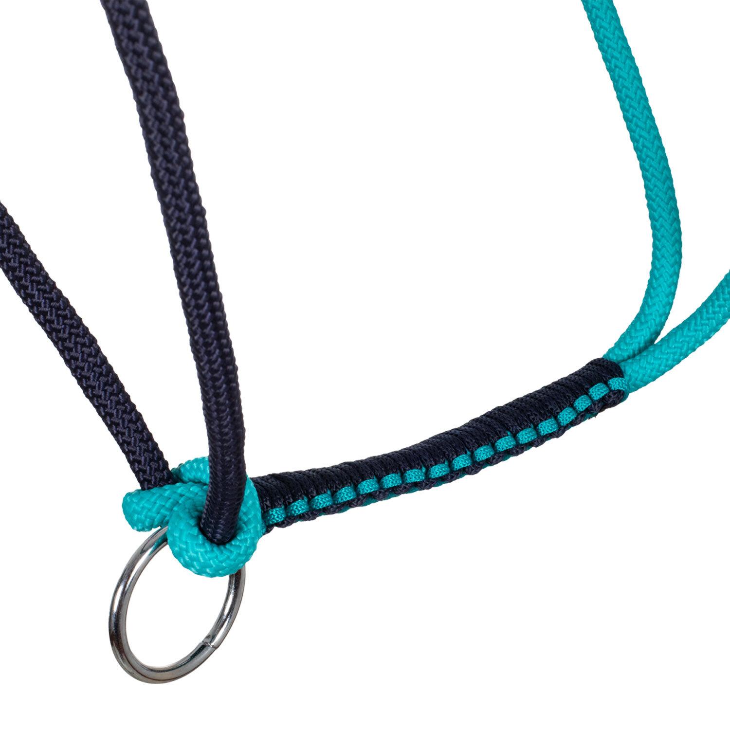 product/p/o/pool-s_plh03003-teal_nv_teal-nv_4.jpg