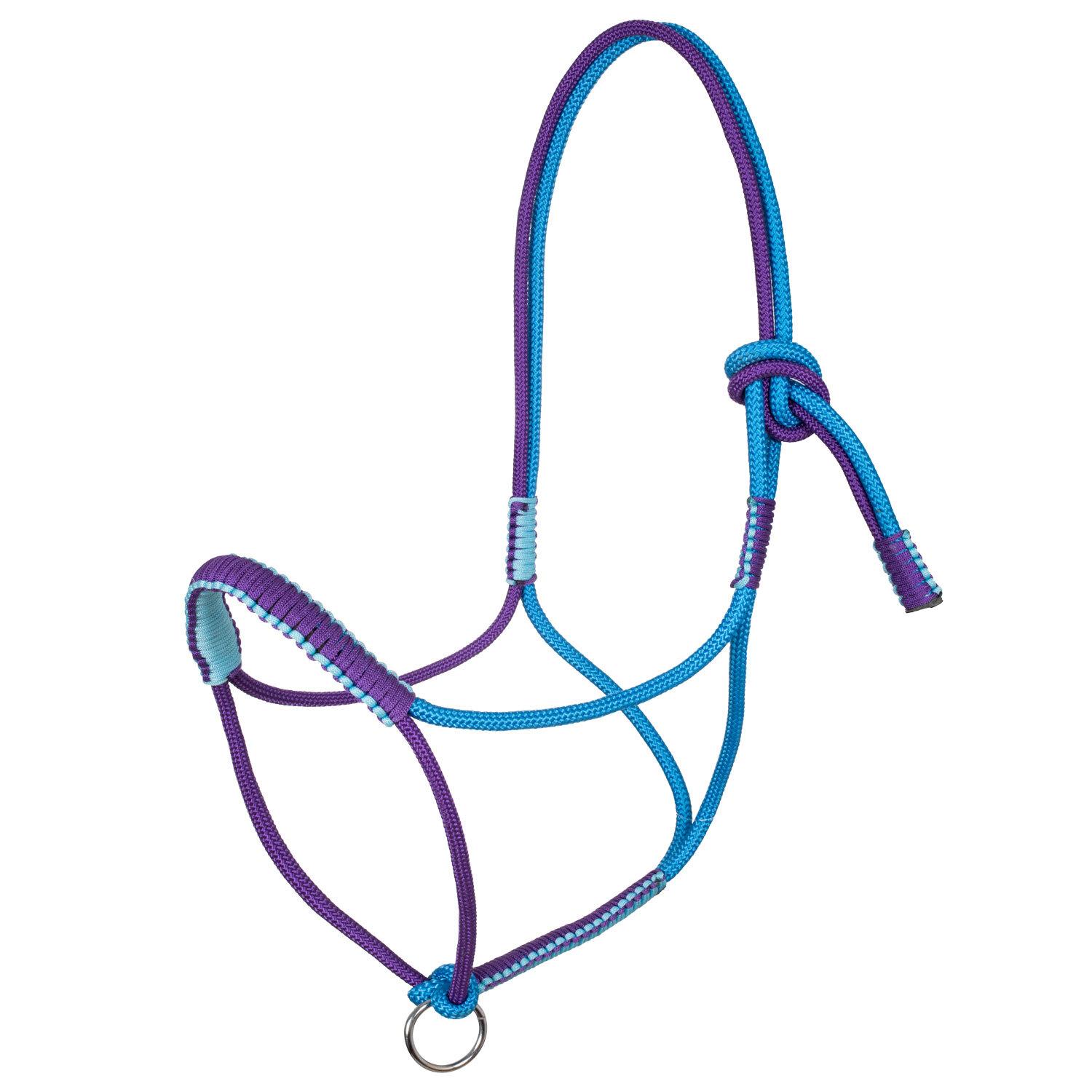product/p/o/pool-s_plh03003-turquoise_purple_turquoise-purple_1.jpg
