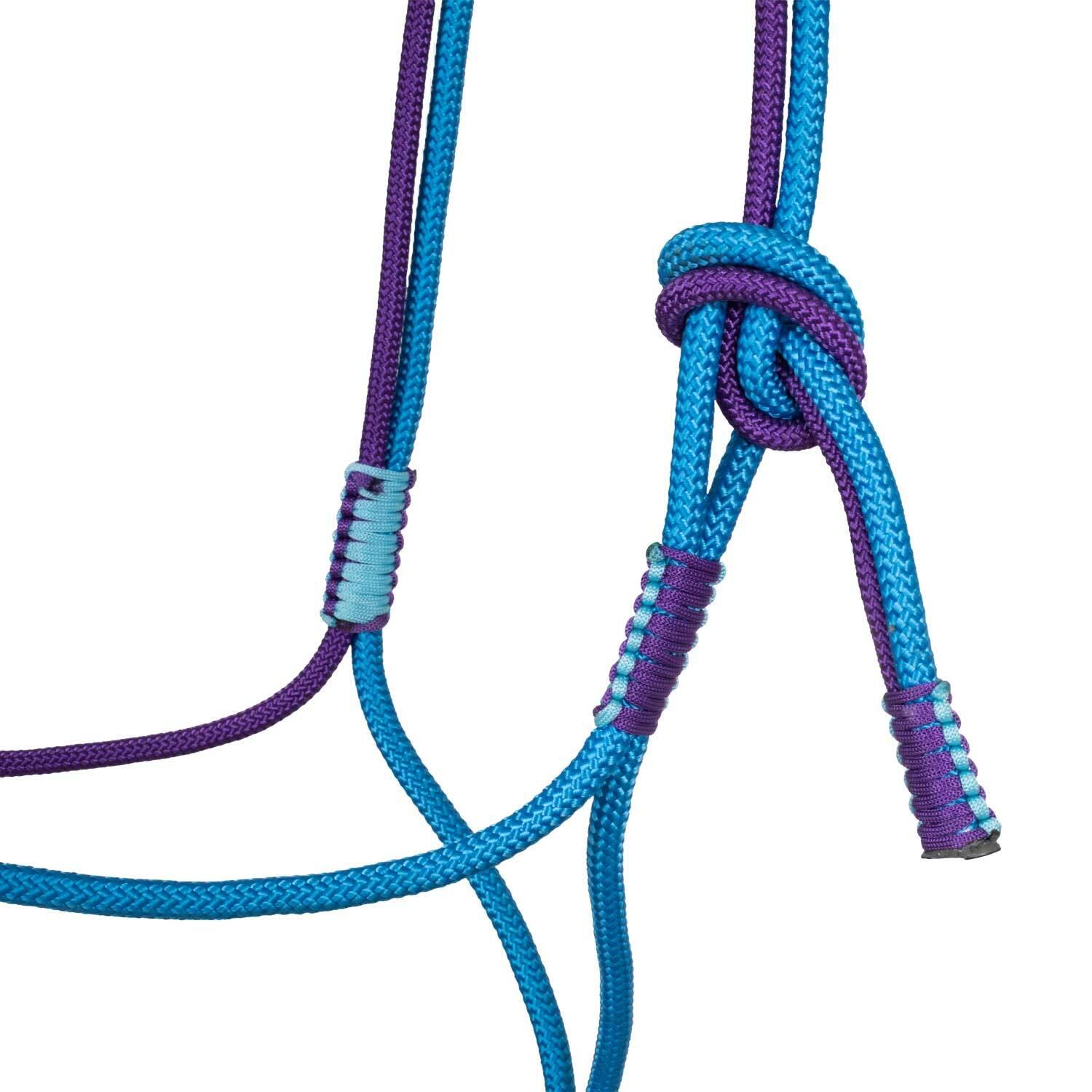 product/p/o/pool-s_plh03003-turquoise_purple_turquoise-purple_2.jpg