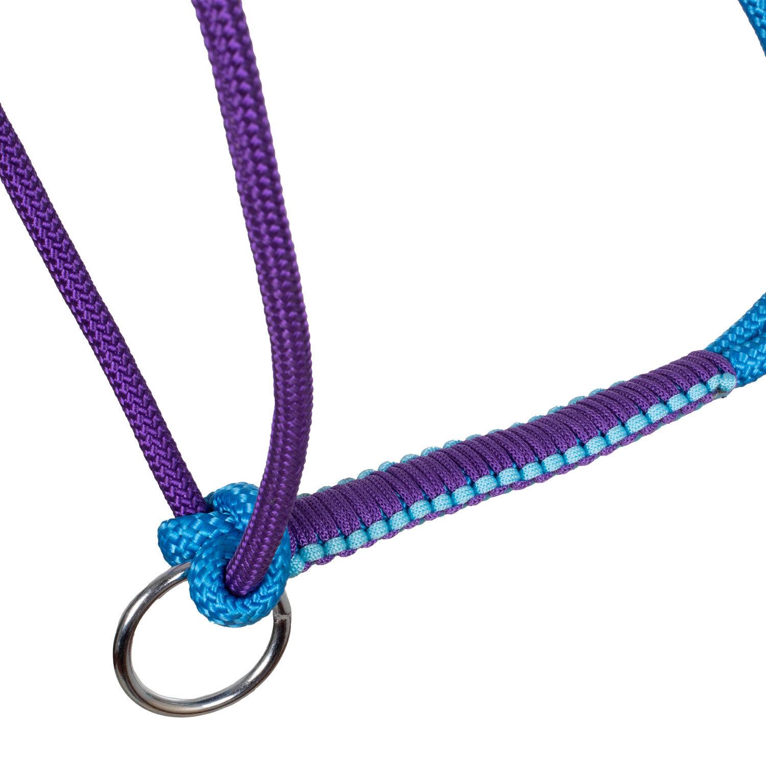 product/p/o/pool-s_plh03003-turquoise_purple_turquoise-purple_4.jpg