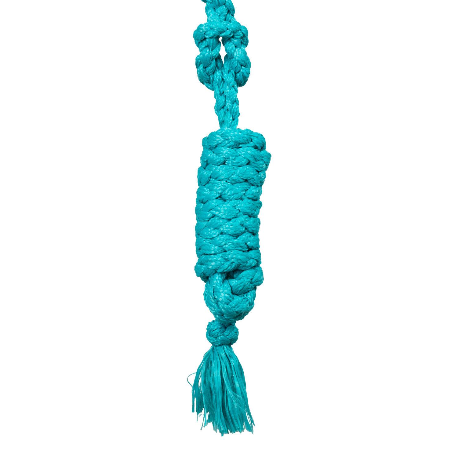 product/p/o/pool-s_plh03004-turquoise_turquoise_4.jpg
