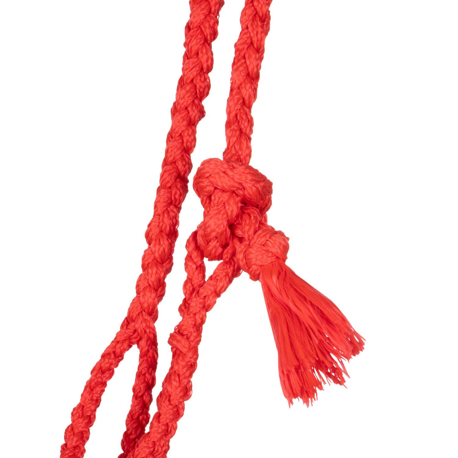 product/p/o/pool-s_plh03013-red_beige_red-beige_3.jpg