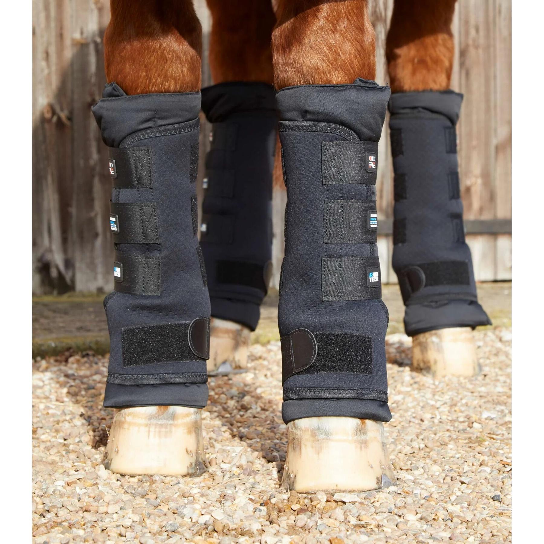 product/p/r/premier-equine_1001-m_3.jpg