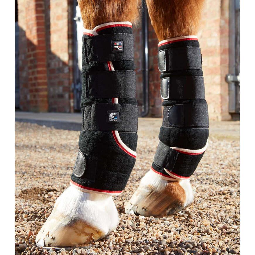 product/p/r/premier-equine_1002-lblk_black_2.jpg