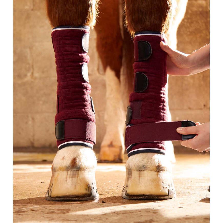 product/p/r/premier-equine_1002-lbrg_burgundy_3.jpg
