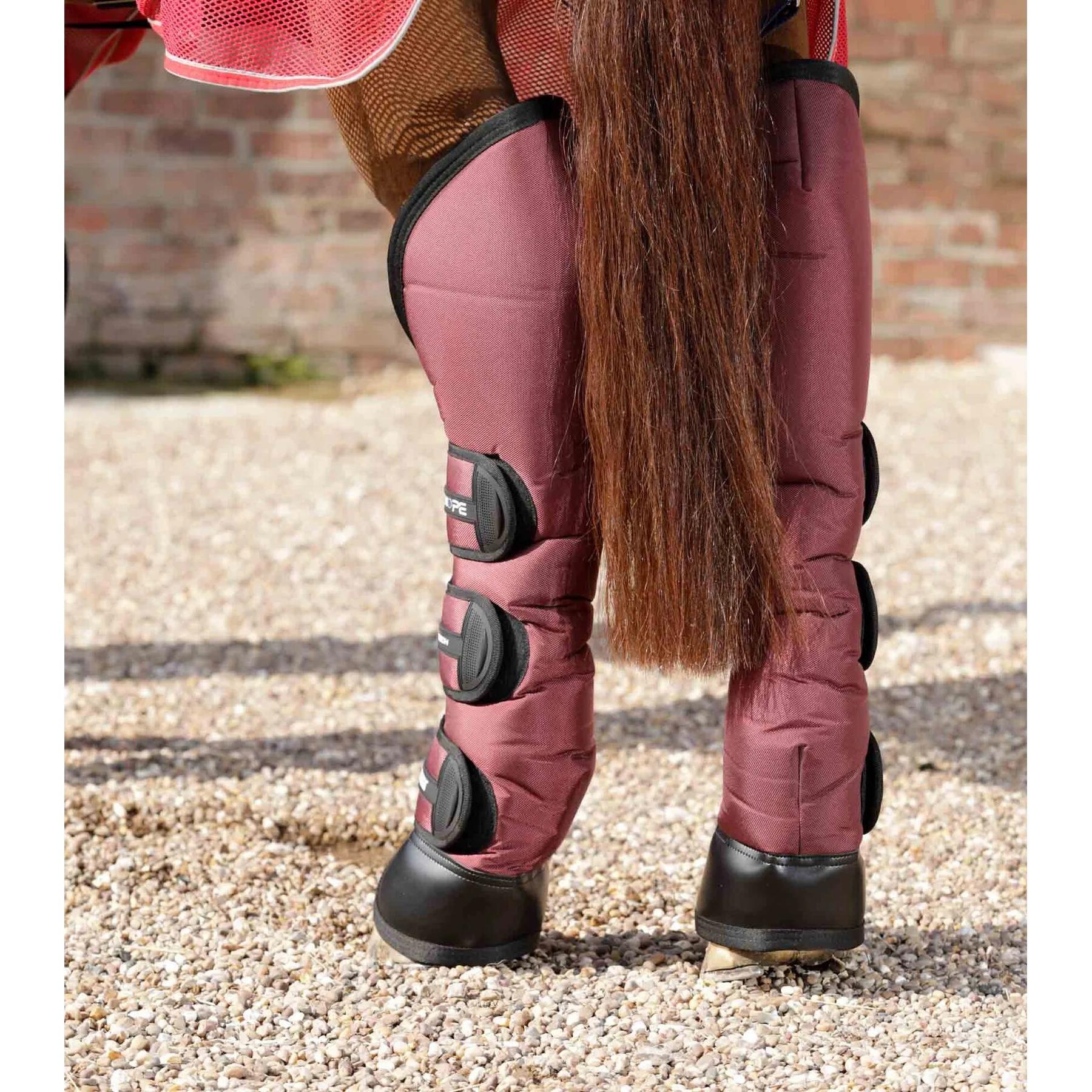 product/p/r/premier-equine_1007lbrg_4.jpg
