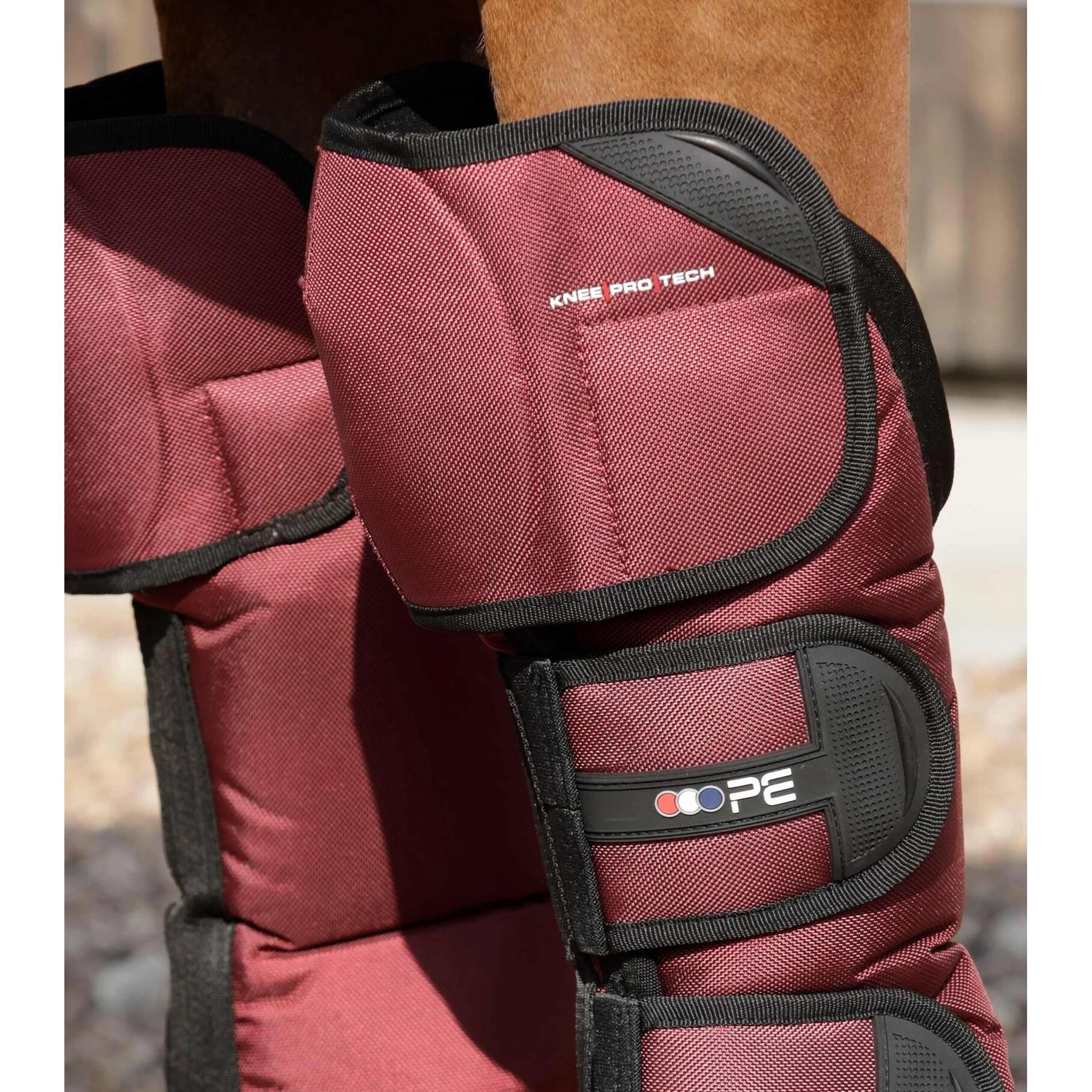 product/p/r/premier-equine_1007lbrg_5.jpg