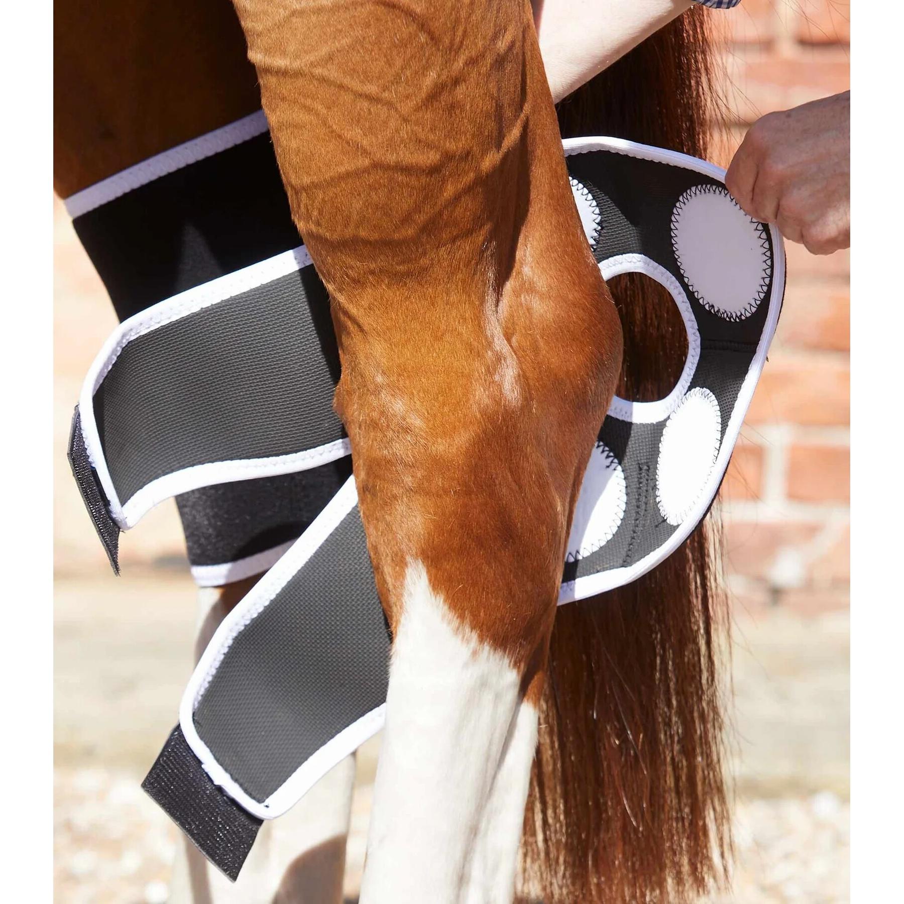product/p/r/premier-equine_1016_3.jpg