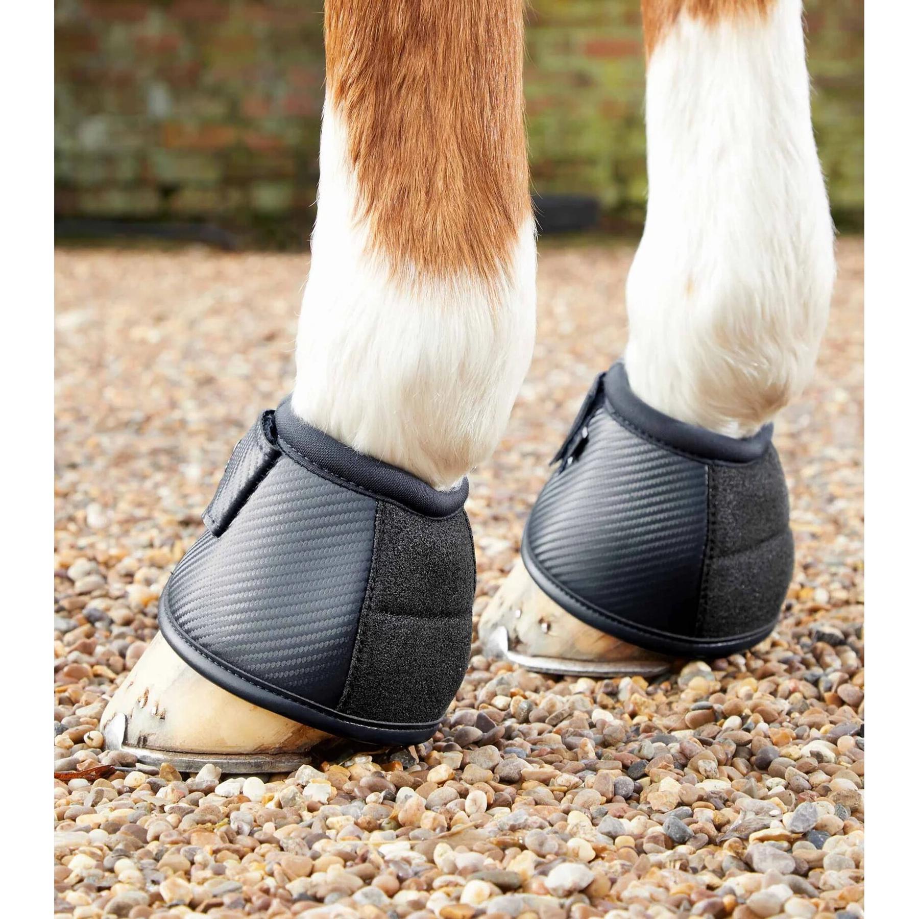 product/p/r/premier-equine_1020xlblk_1.jpg