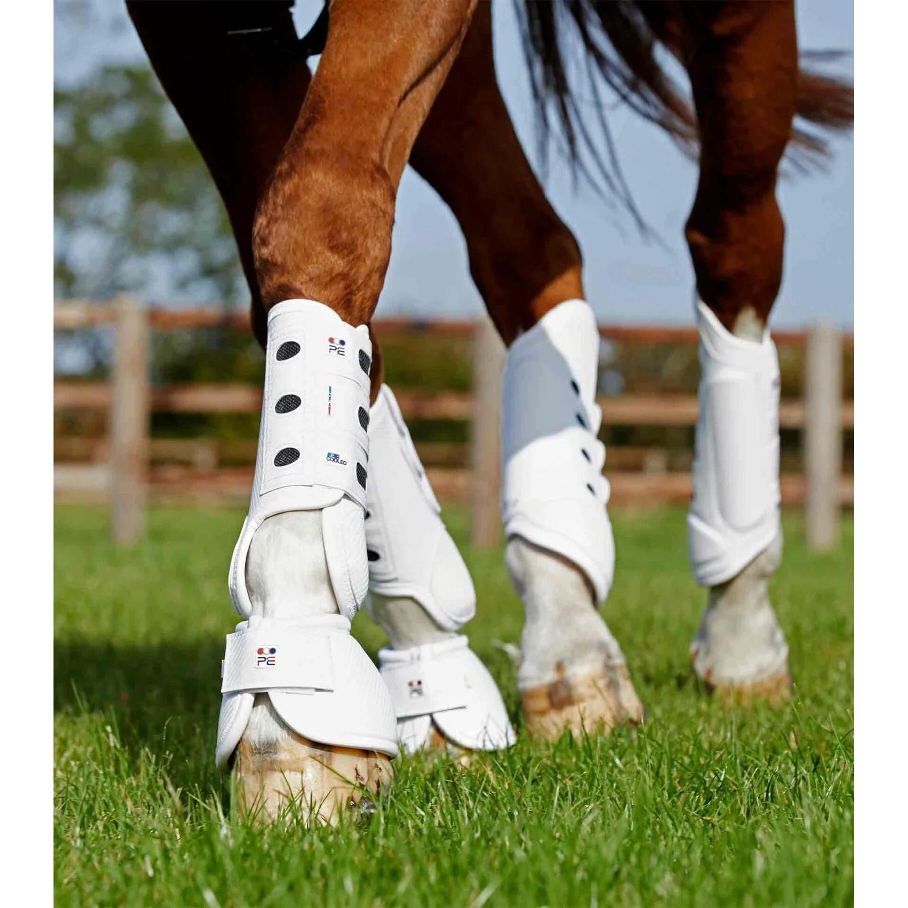 product/p/r/premier-equine_1020xlw_2.jpg