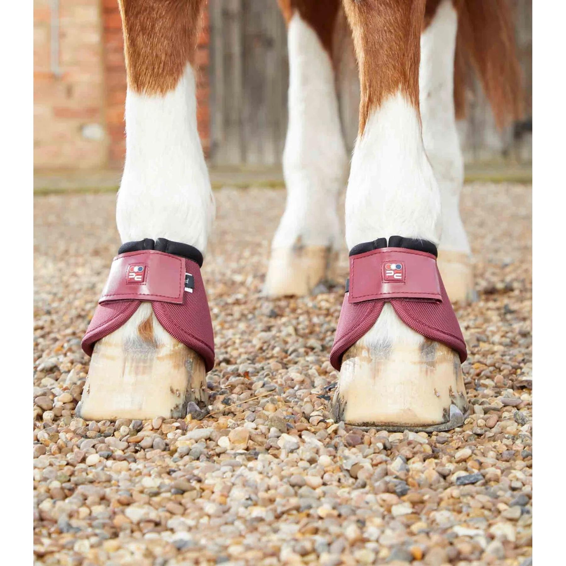 product/p/r/premier-equine_1022sbrg_3.jpg