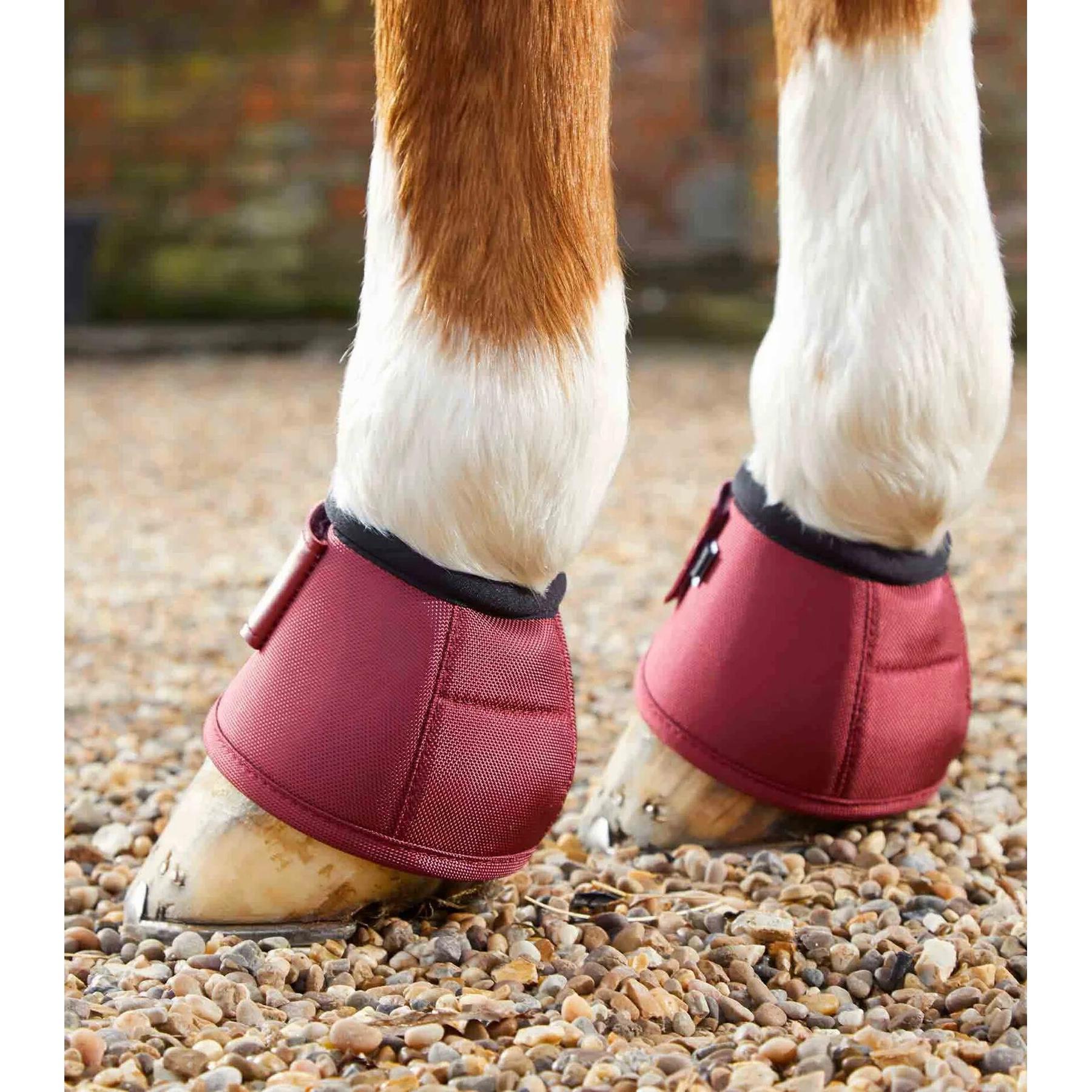 product/p/r/premier-equine_1022sbrg_4.jpg