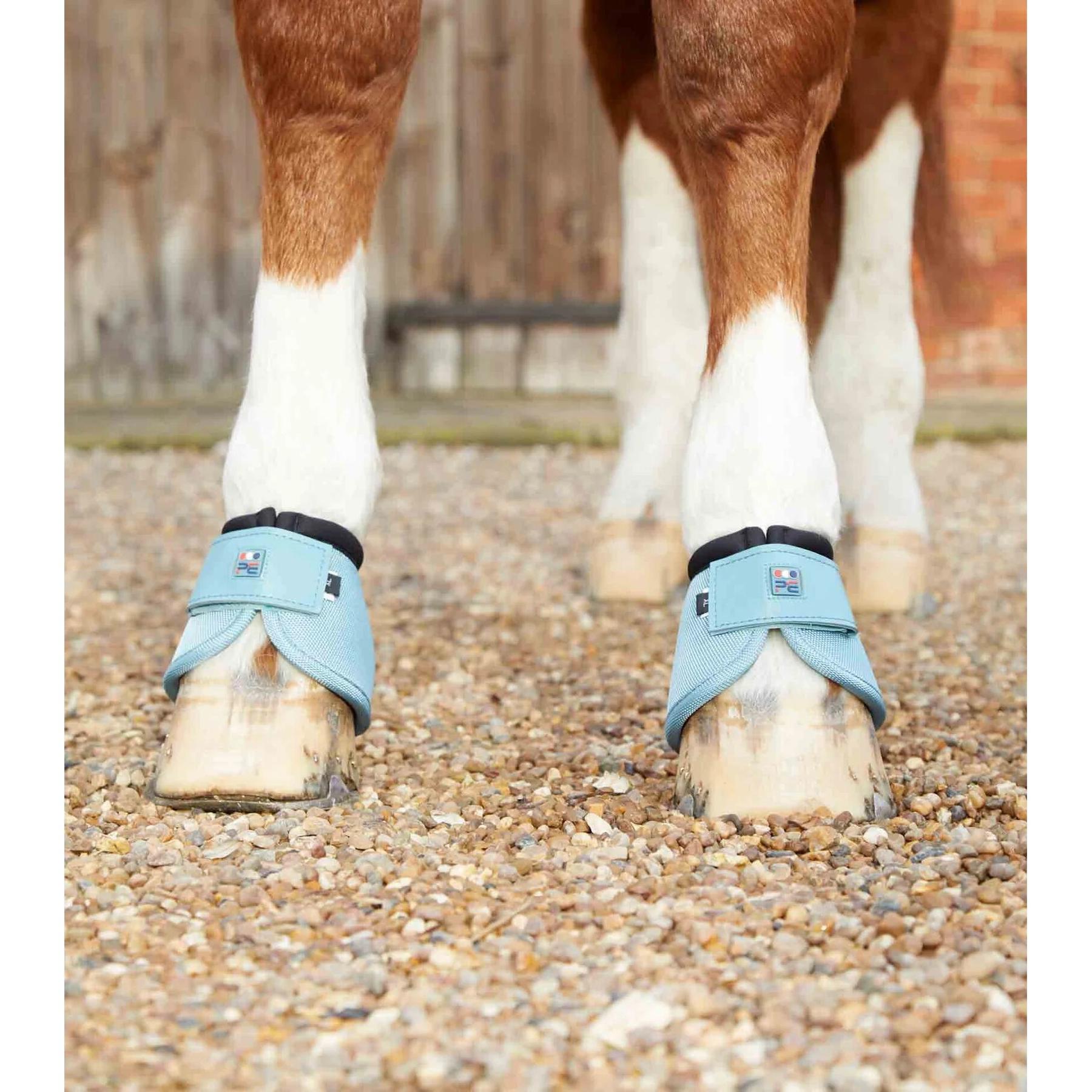 product/p/r/premier-equine_1022st_3.jpg