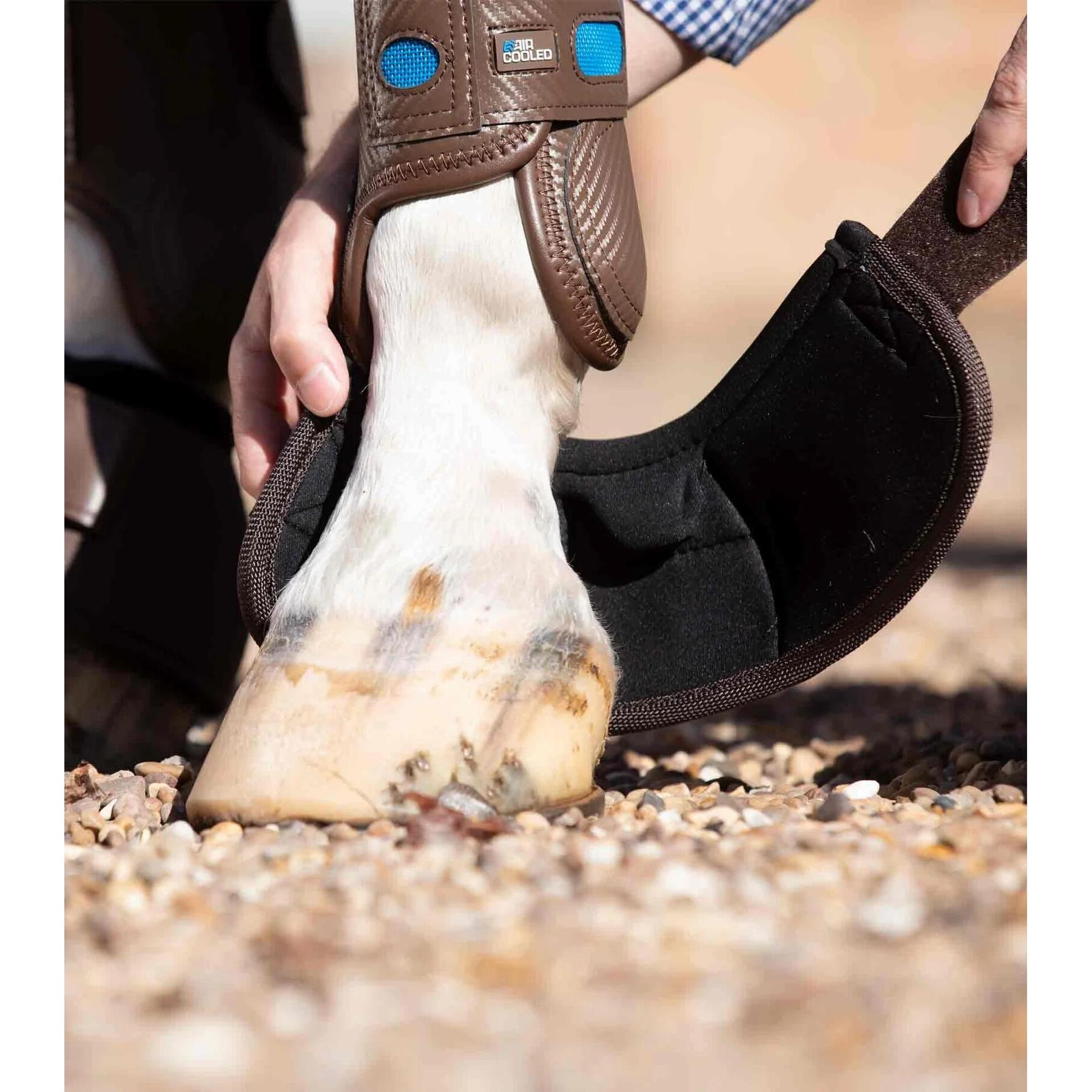 product/p/r/premier-equine_1022xxlbrw_2.jpg