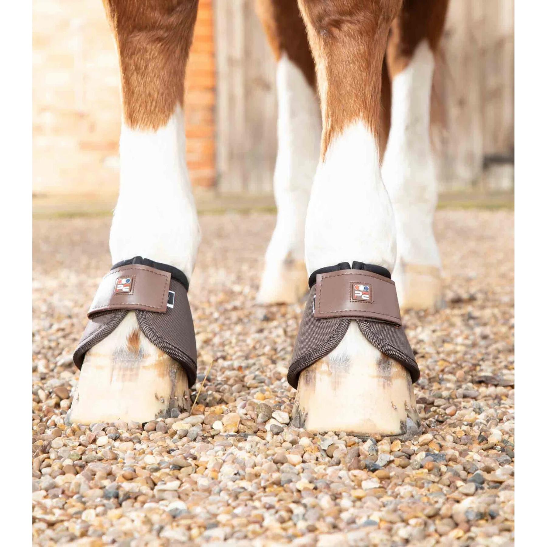 product/p/r/premier-equine_1022xxlbrw_5.jpg