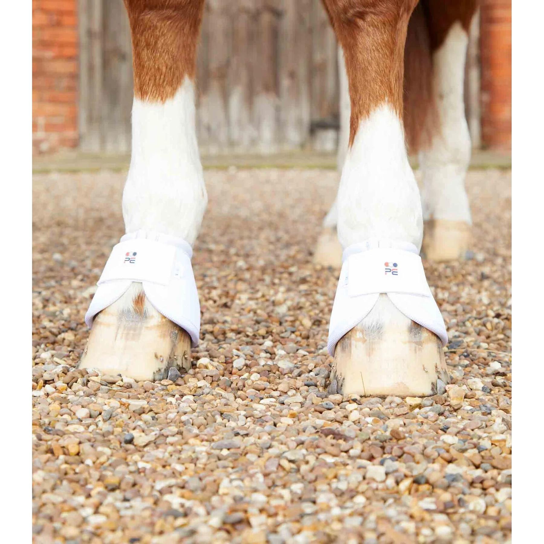 product/p/r/premier-equine_1022xxlw_3.jpg
