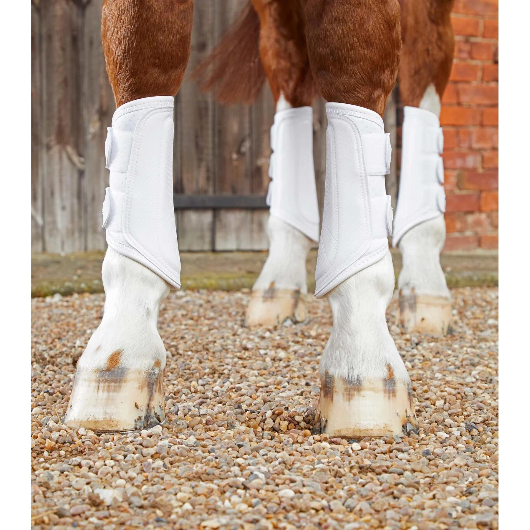 product/p/r/premier-equine_1027lw_2.jpg