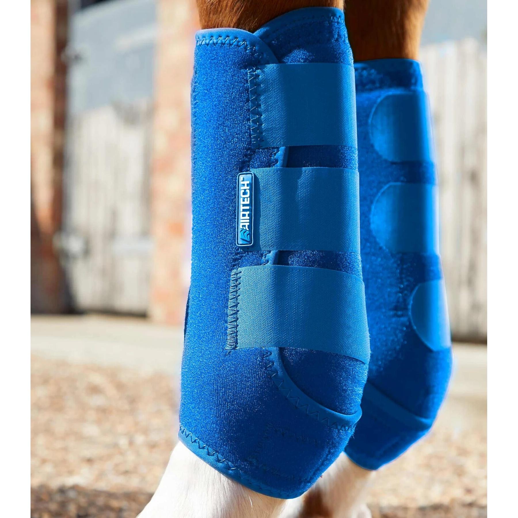 product/p/r/premier-equine_1029xlblu_4.jpg