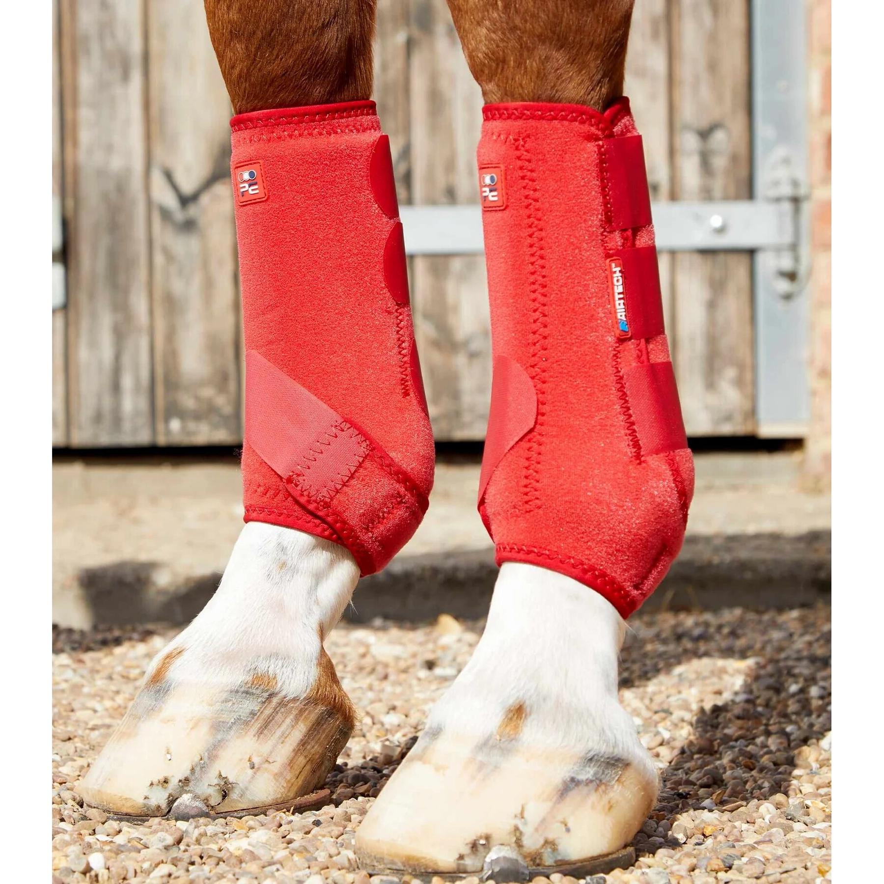 product/p/r/premier-equine_1029xlr_1.jpg