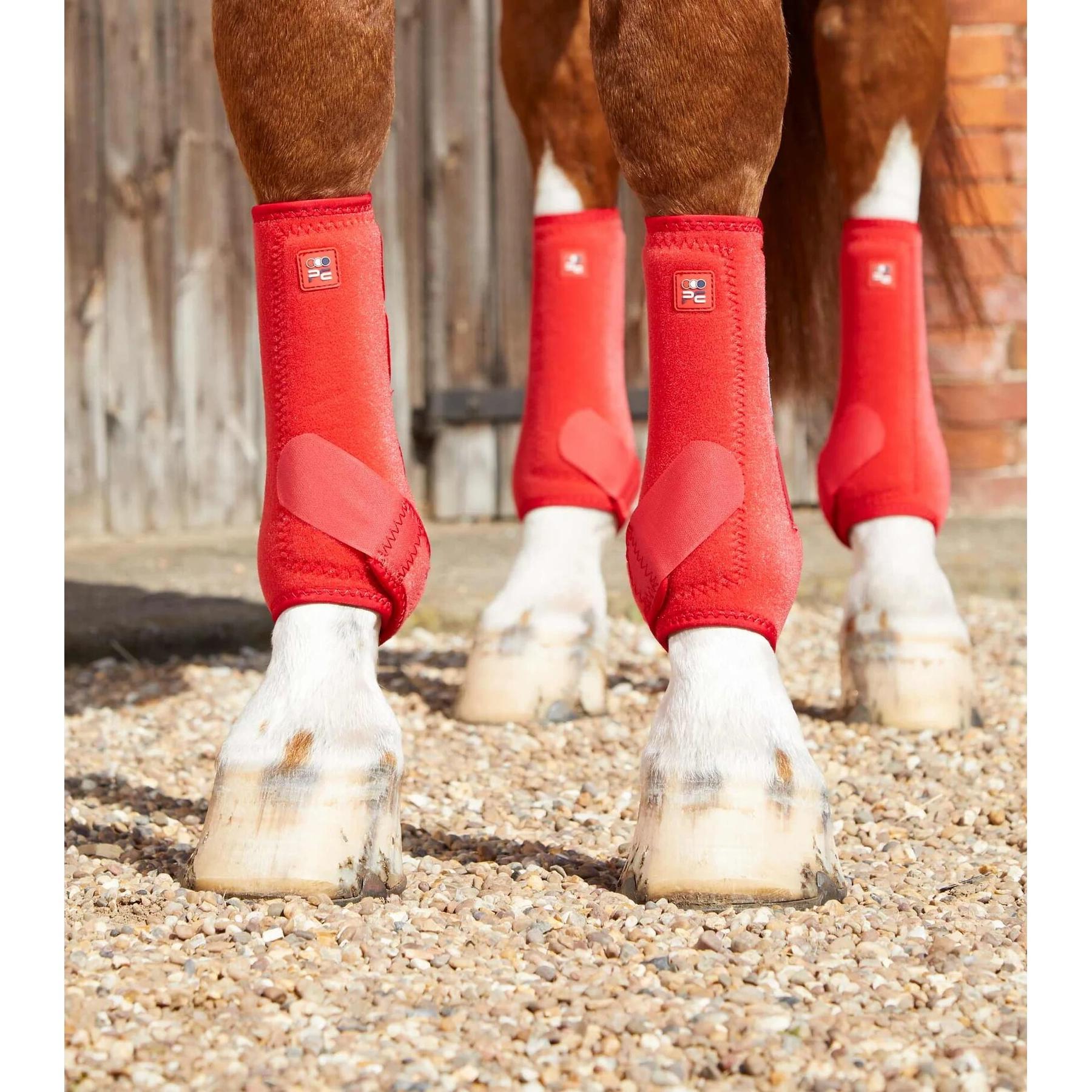 product/p/r/premier-equine_1029xlr_3.jpg