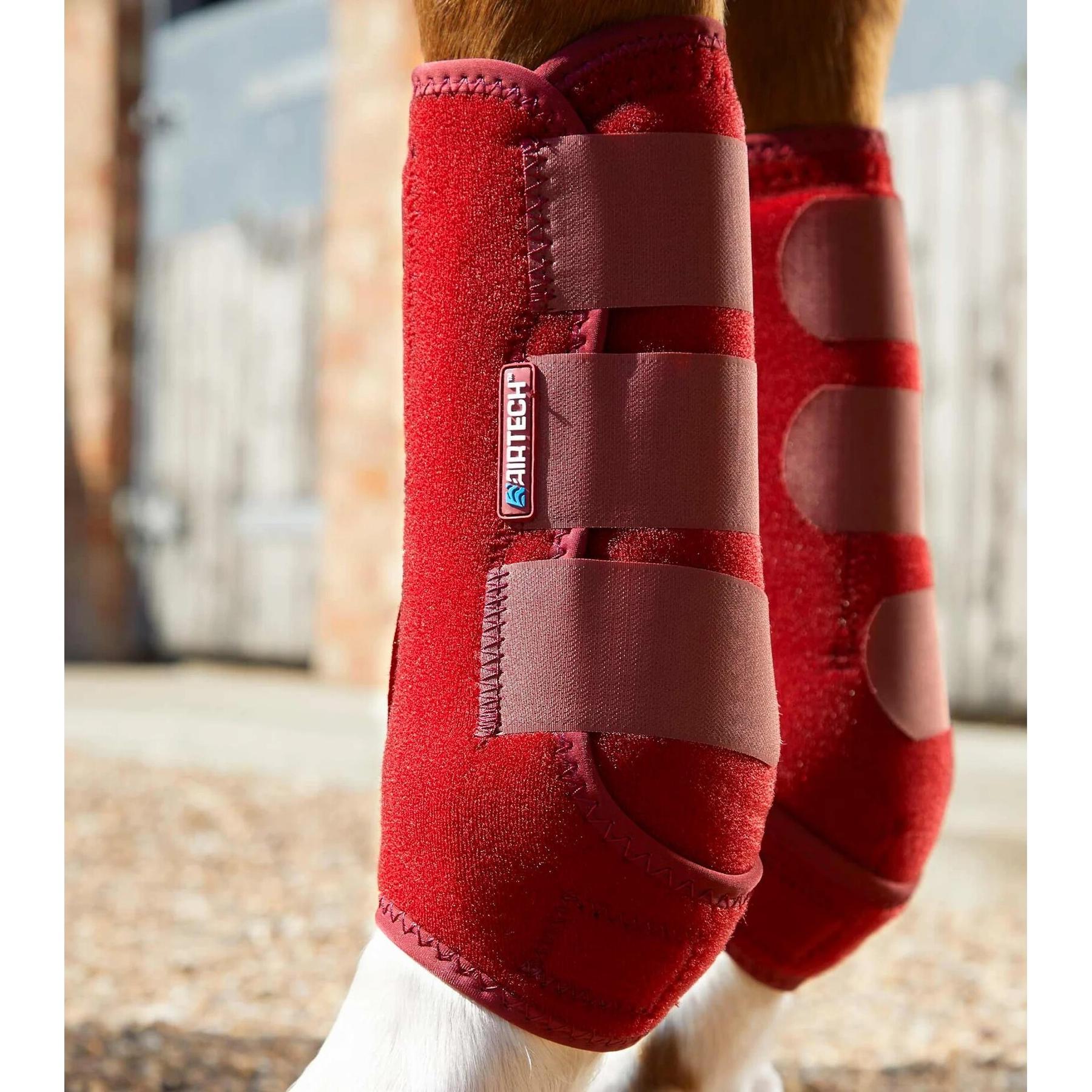 product/p/r/premier-equine_1029xlr_4.jpg