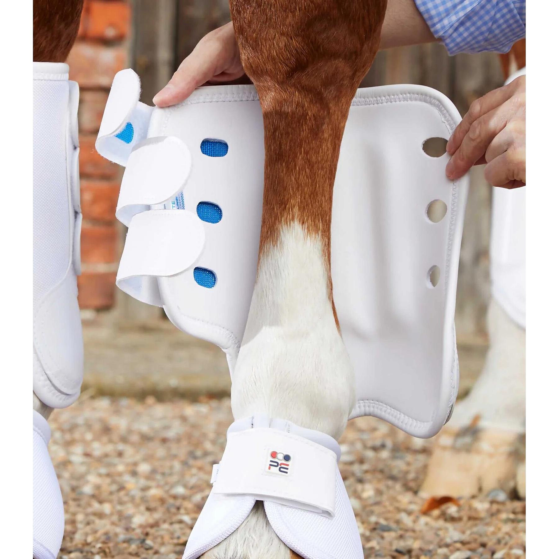 product/p/r/premier-equine_1032flw_2.jpg