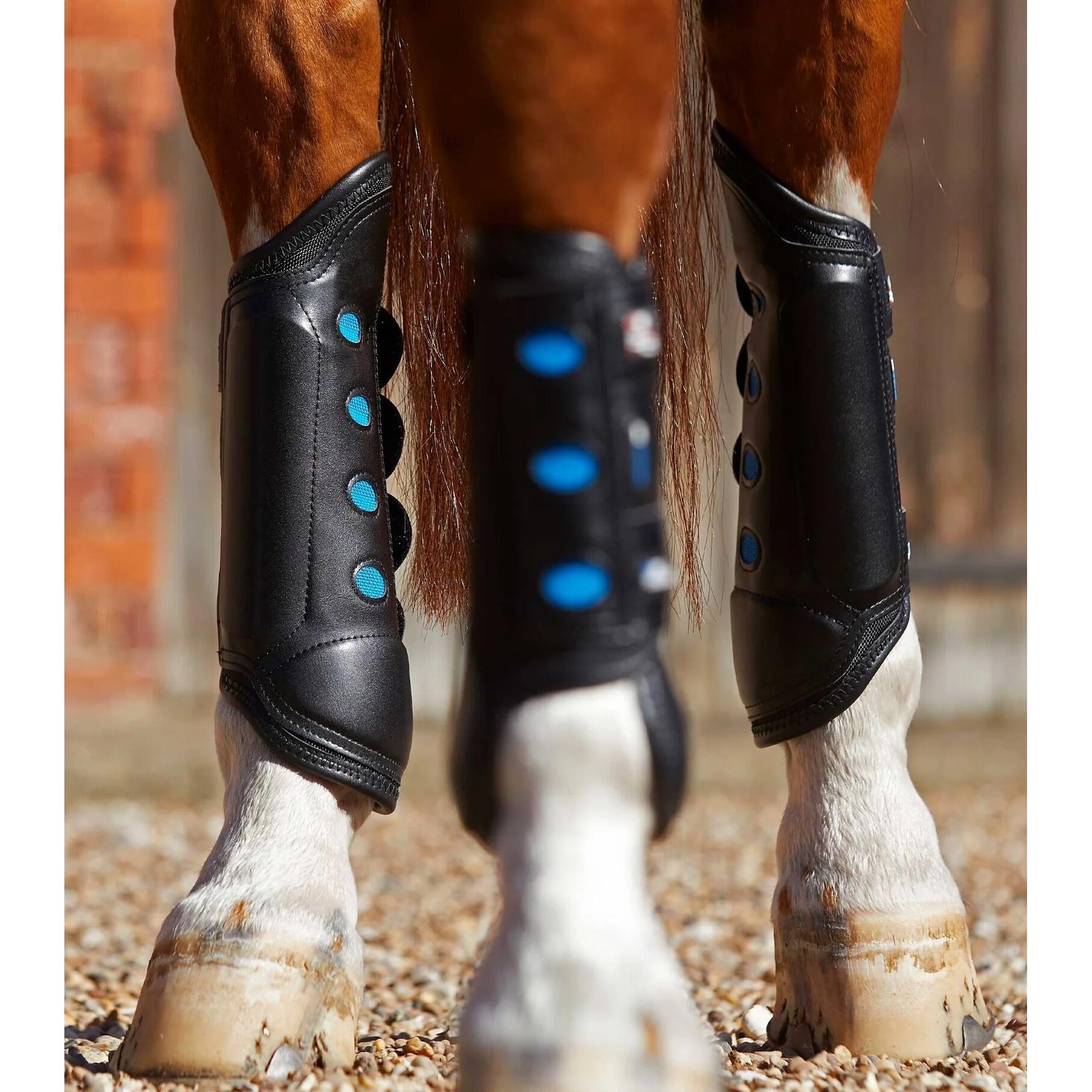 product/p/r/premier-equine_1032hlb_1.jpg