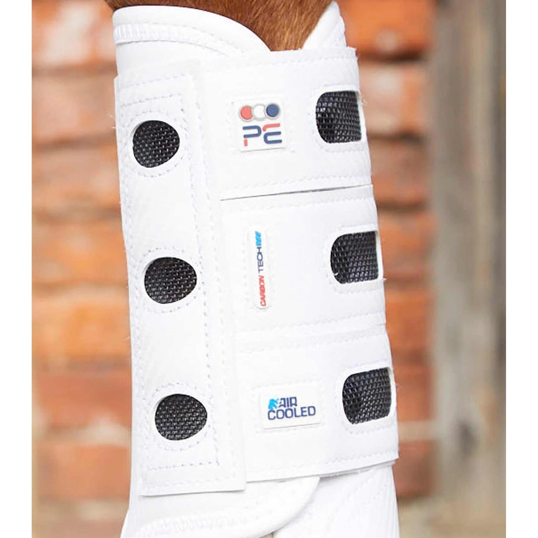 product/p/r/premier-equine_1033flw_3.jpg
