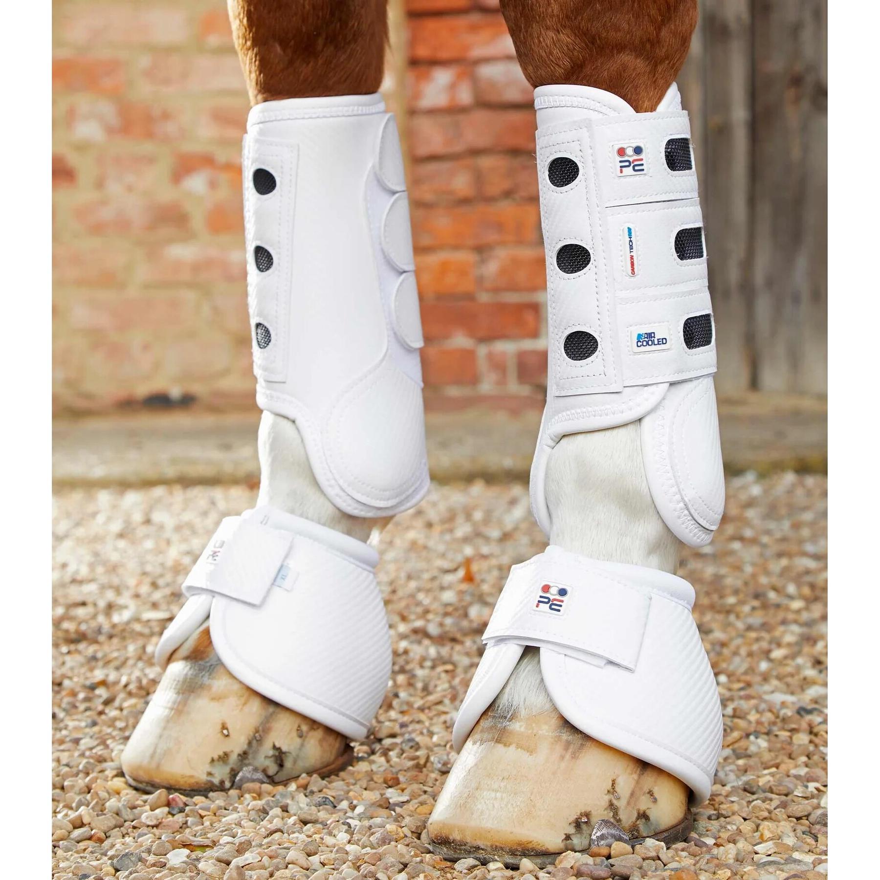 product/p/r/premier-equine_1033flw_4.jpg