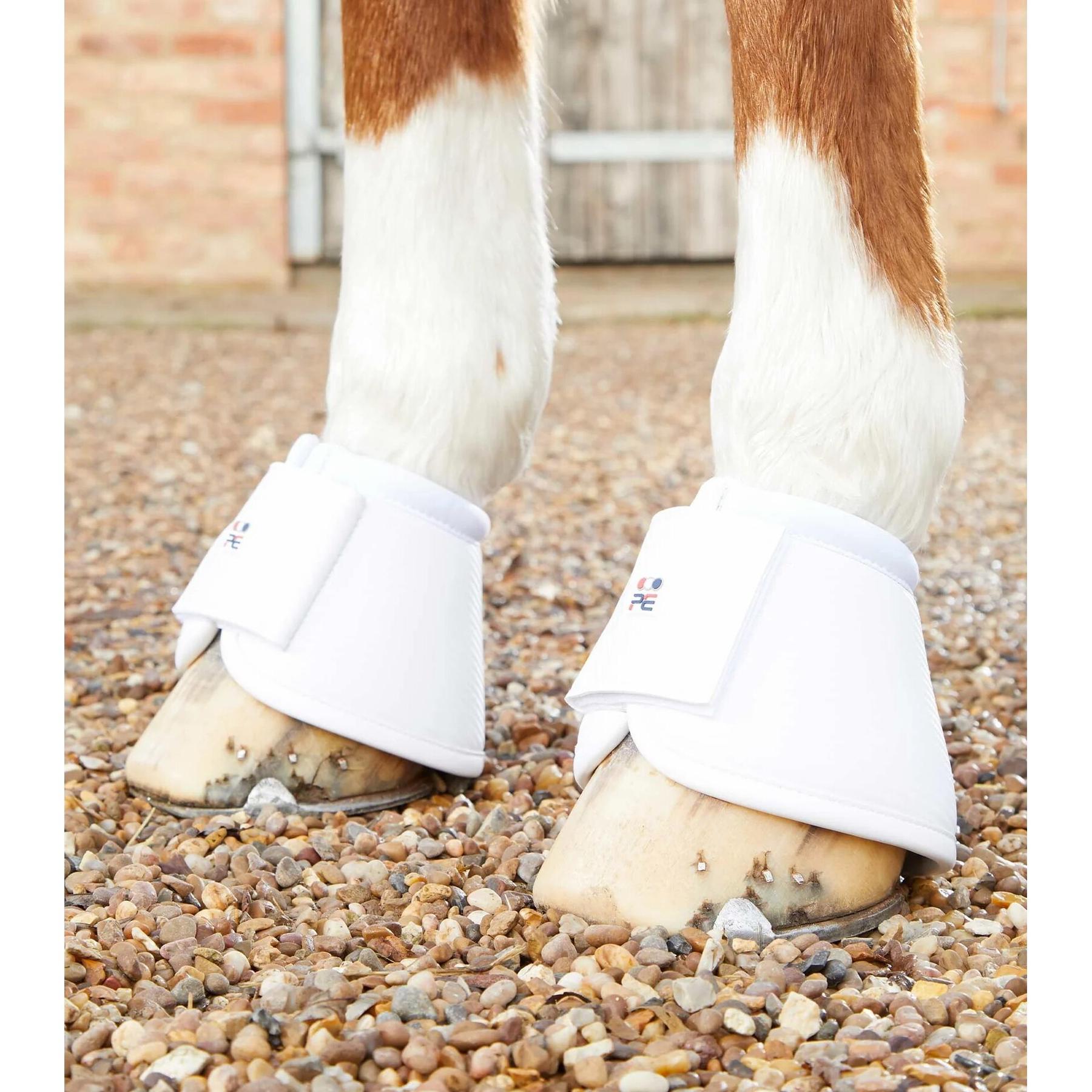 product/p/r/premier-equine_1042sw_1.jpg