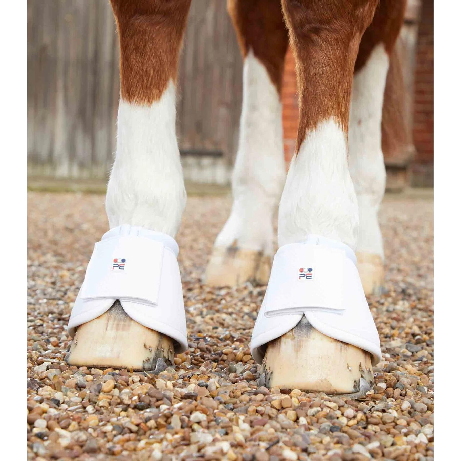 product/p/r/premier-equine_1042sw_4.jpg
