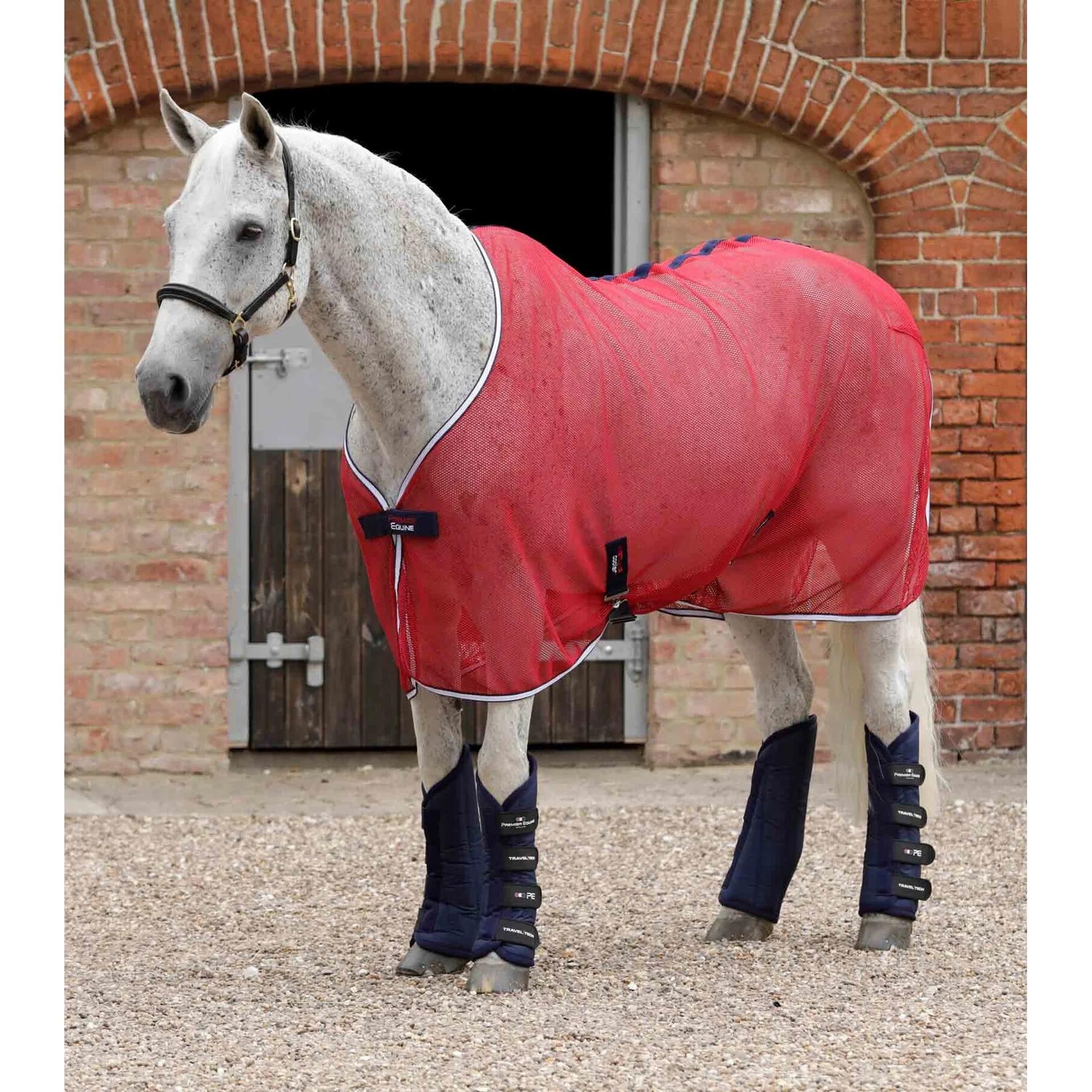 product/p/r/premier-equine_1045sn_2.jpg