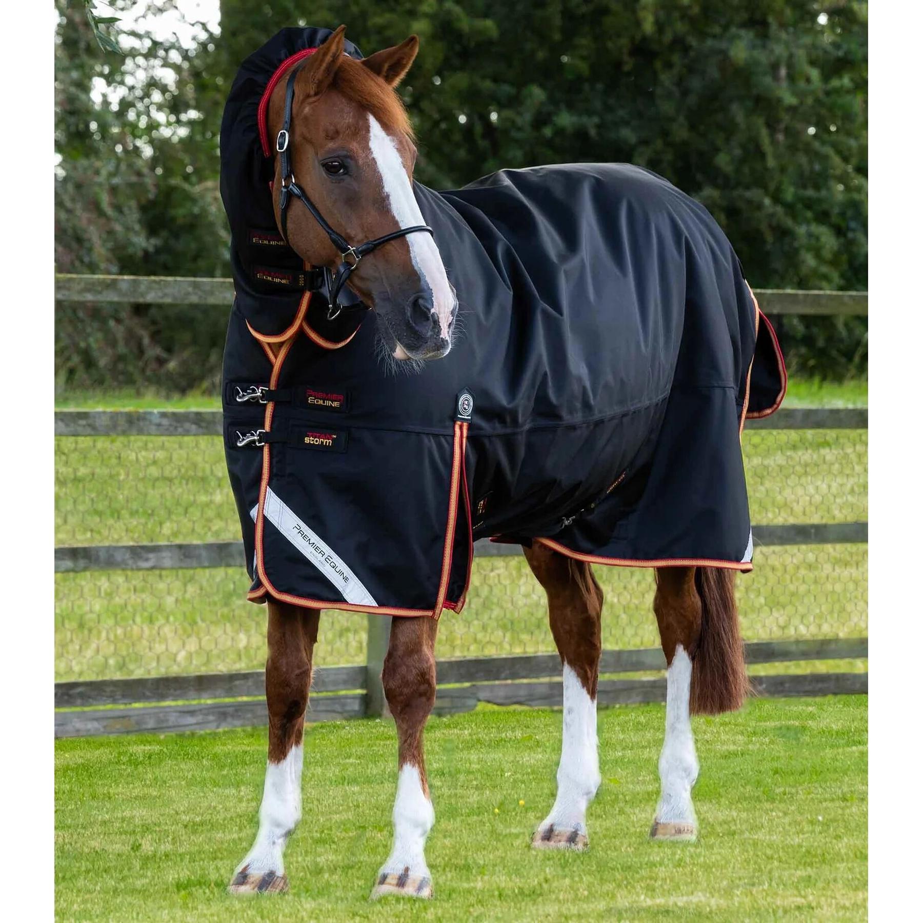 product/p/r/premier-equine_200450b_1.jpg