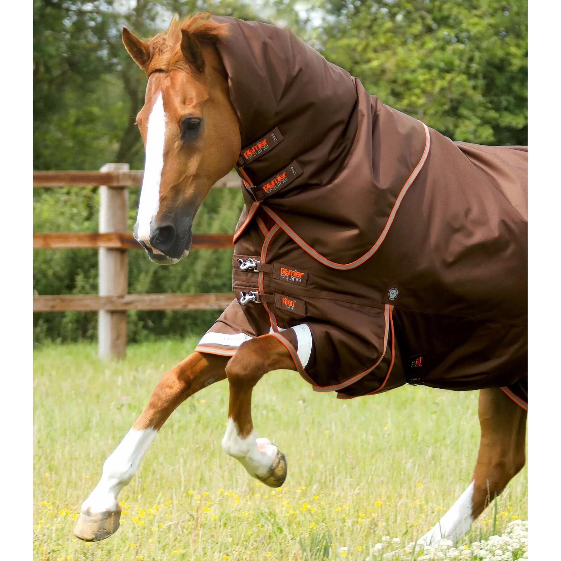 product/p/r/premier-equine_200550brw_2.jpg