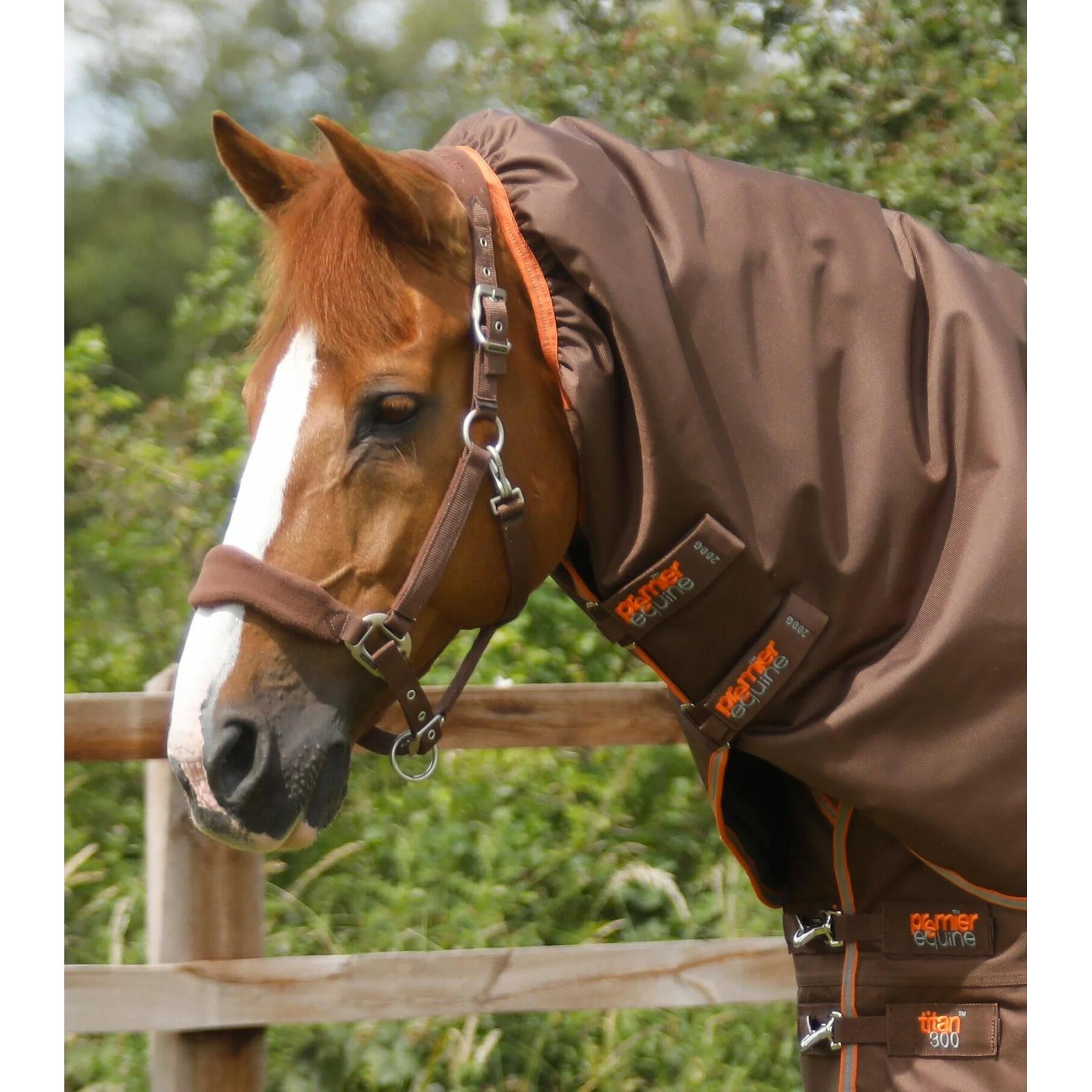 product/p/r/premier-equine_200550brw_3.jpg