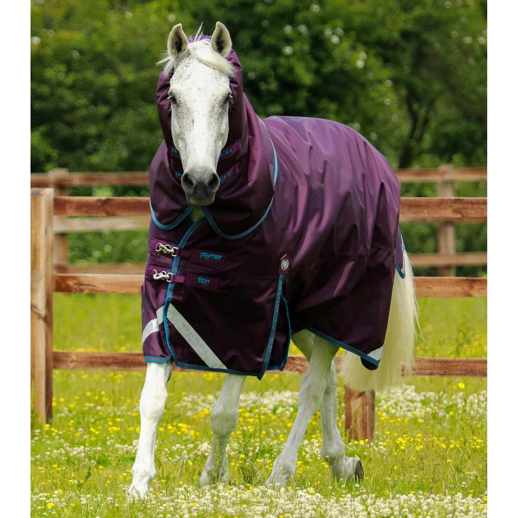 product/p/r/premier-equine_200850p_1.jpg