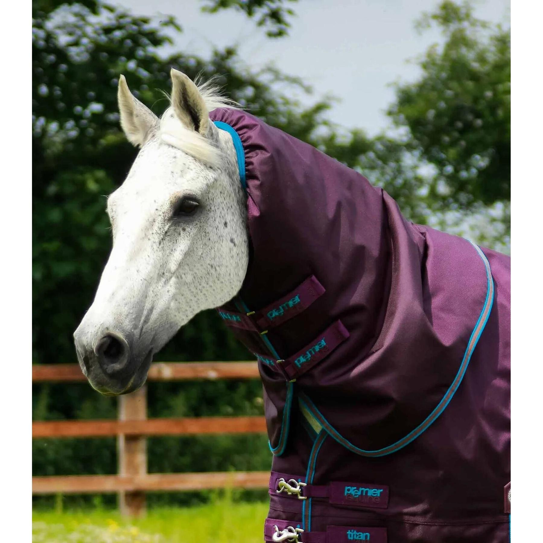 product/p/r/premier-equine_200850p_2.jpg