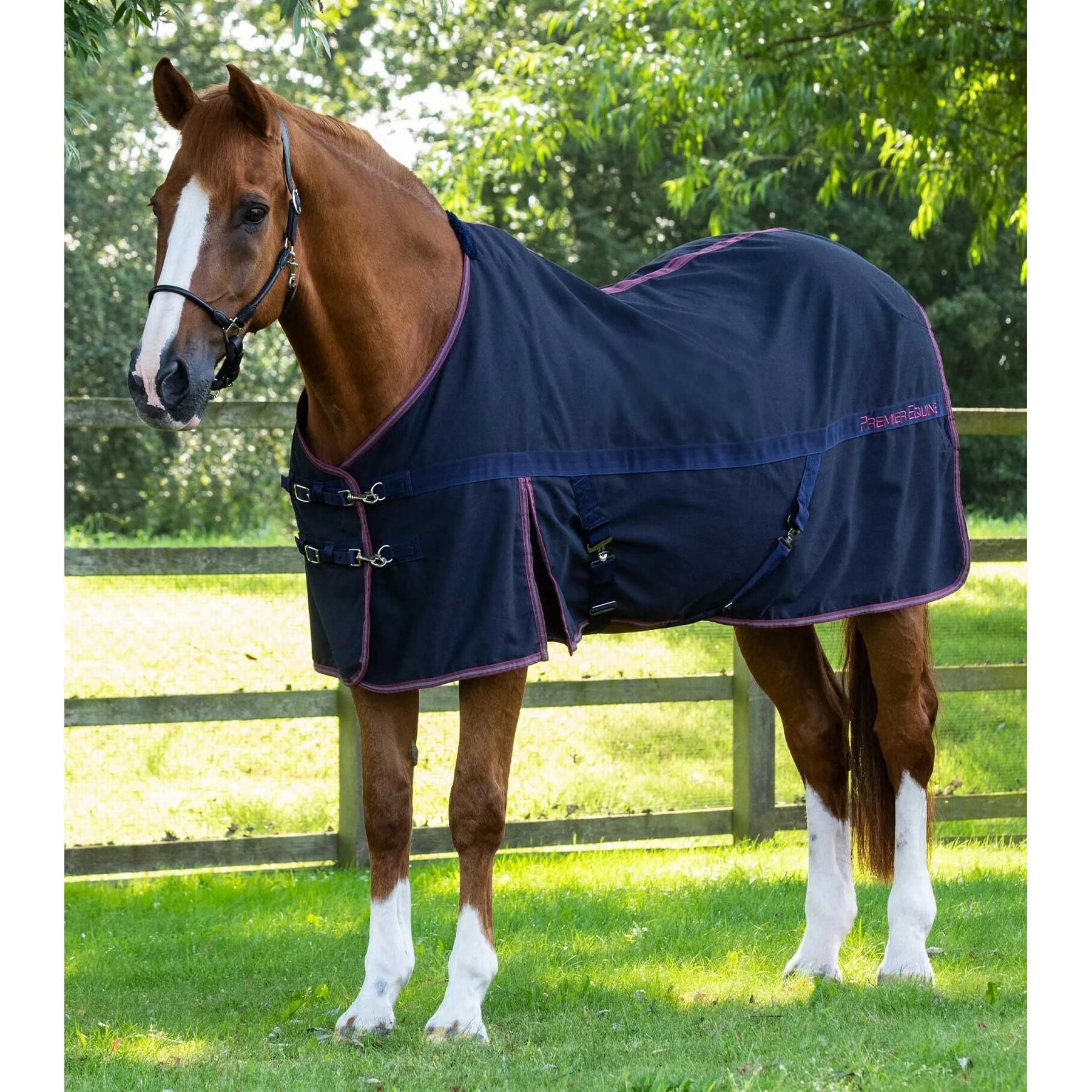 product/p/r/premier-equine_201650n_1.jpg