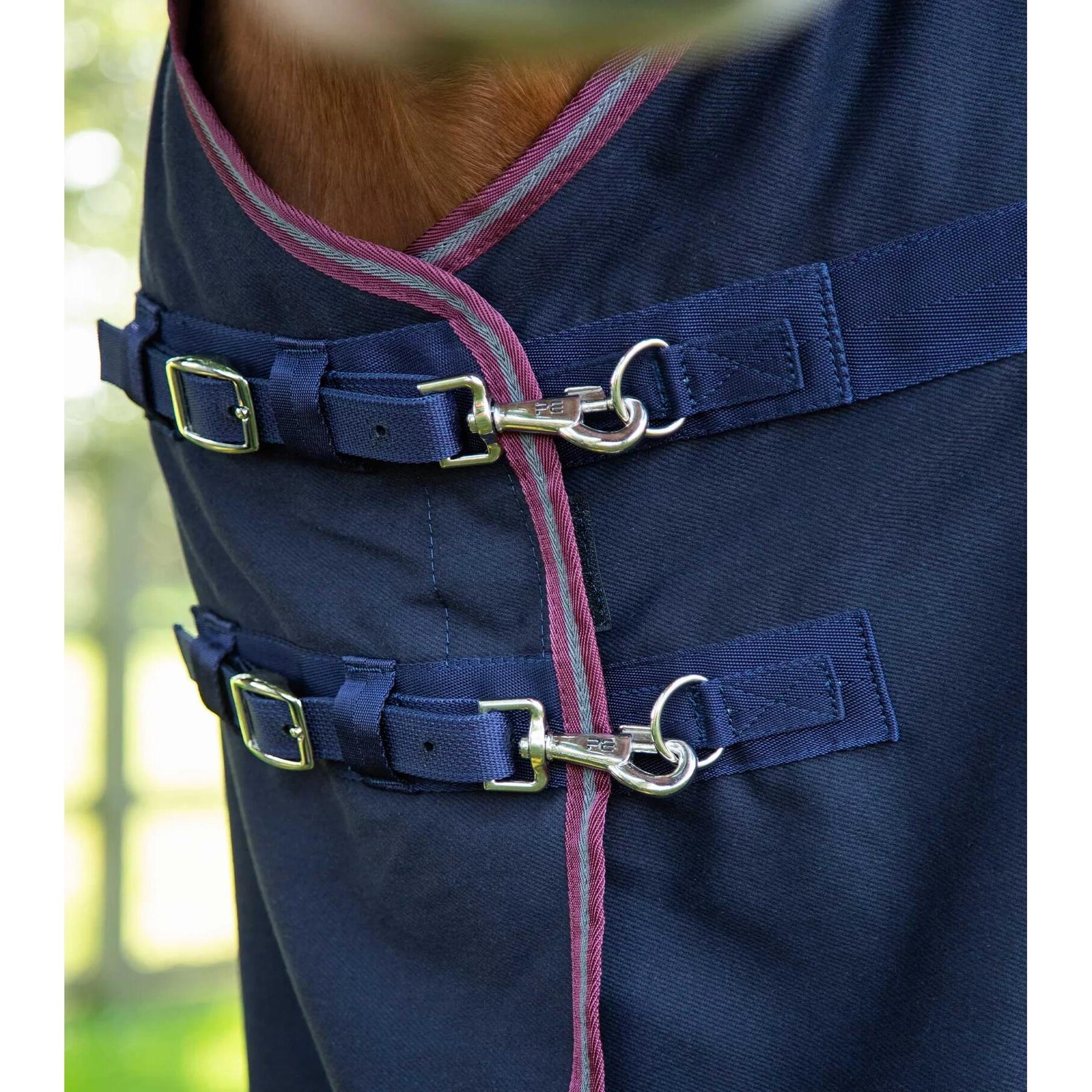 product/p/r/premier-equine_201650n_3.jpg