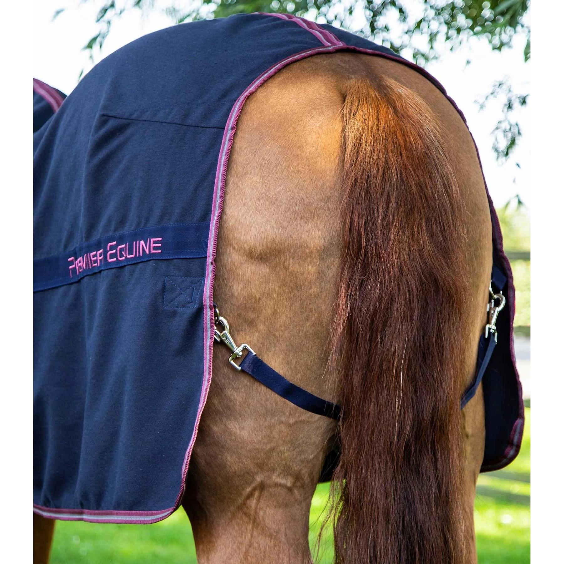product/p/r/premier-equine_201650n_5.jpg