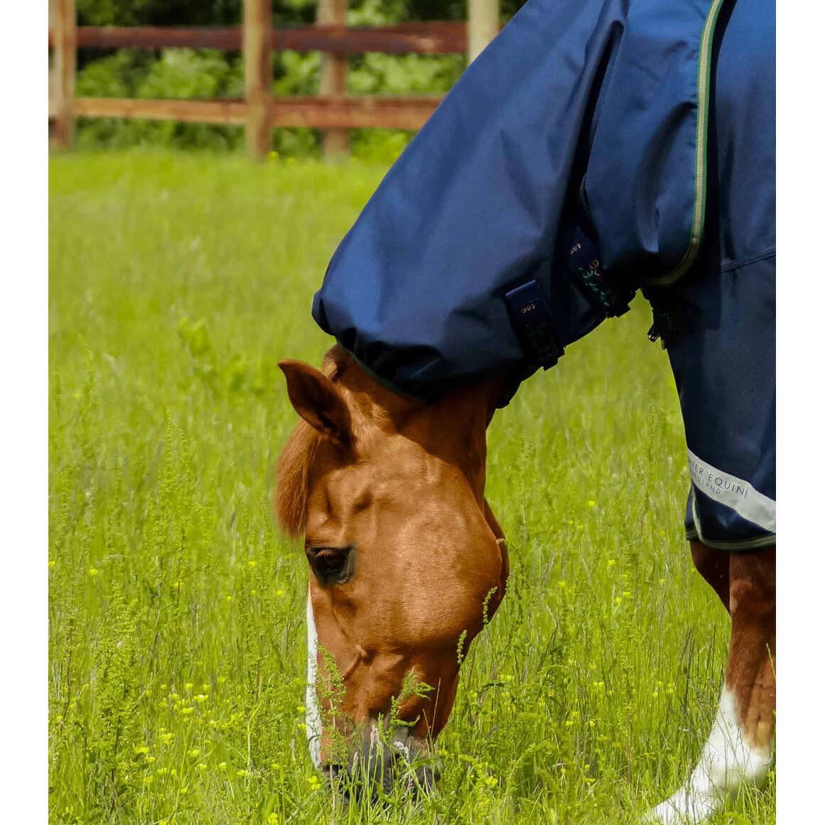 product/p/r/premier-equine_202556n_navy_2.jpg