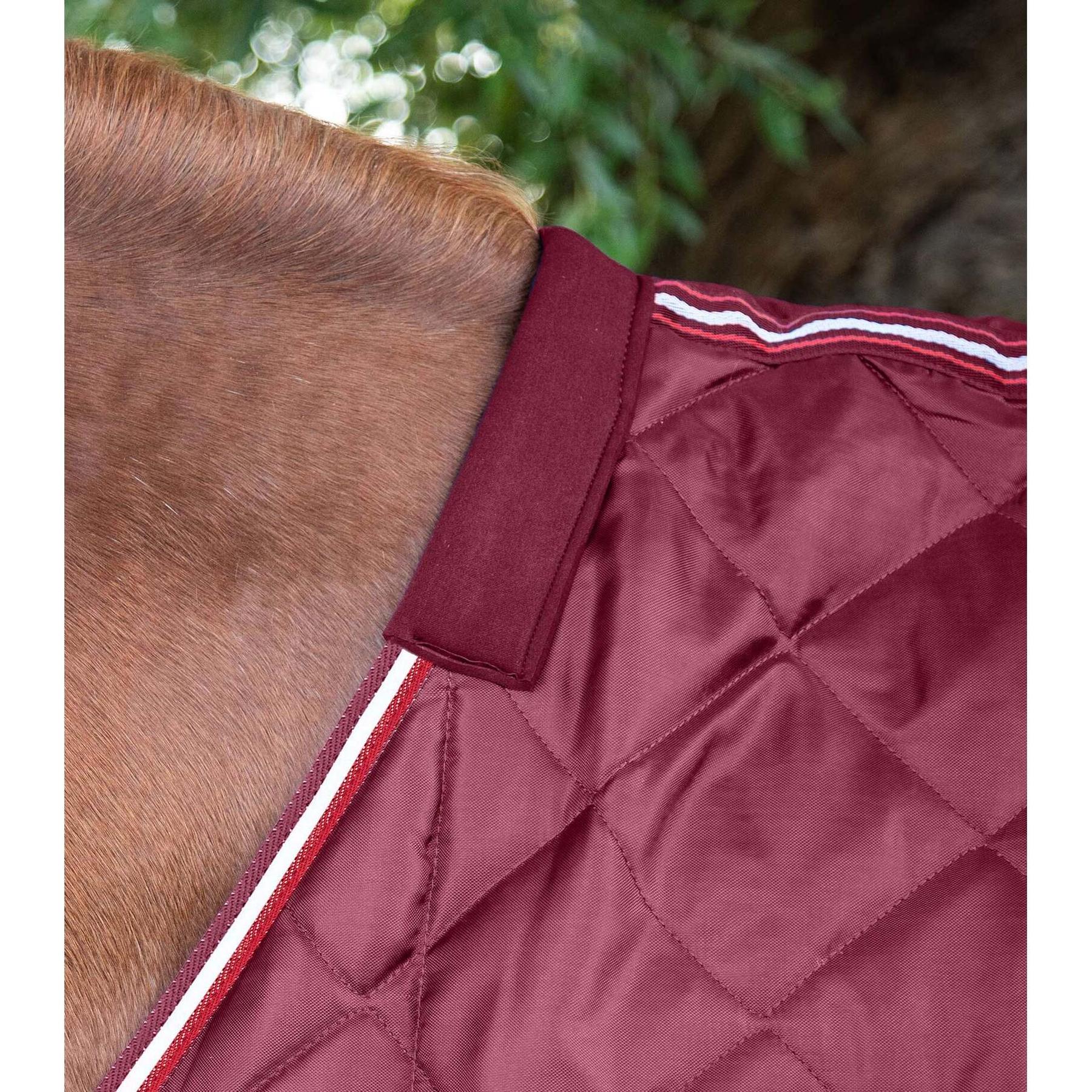 product/p/r/premier-equine_207073brg_burgundy_2.jpg