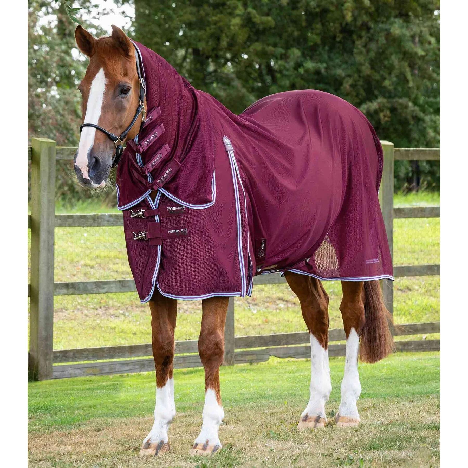 product/p/r/premier-equine_207756wne_1.jpg
