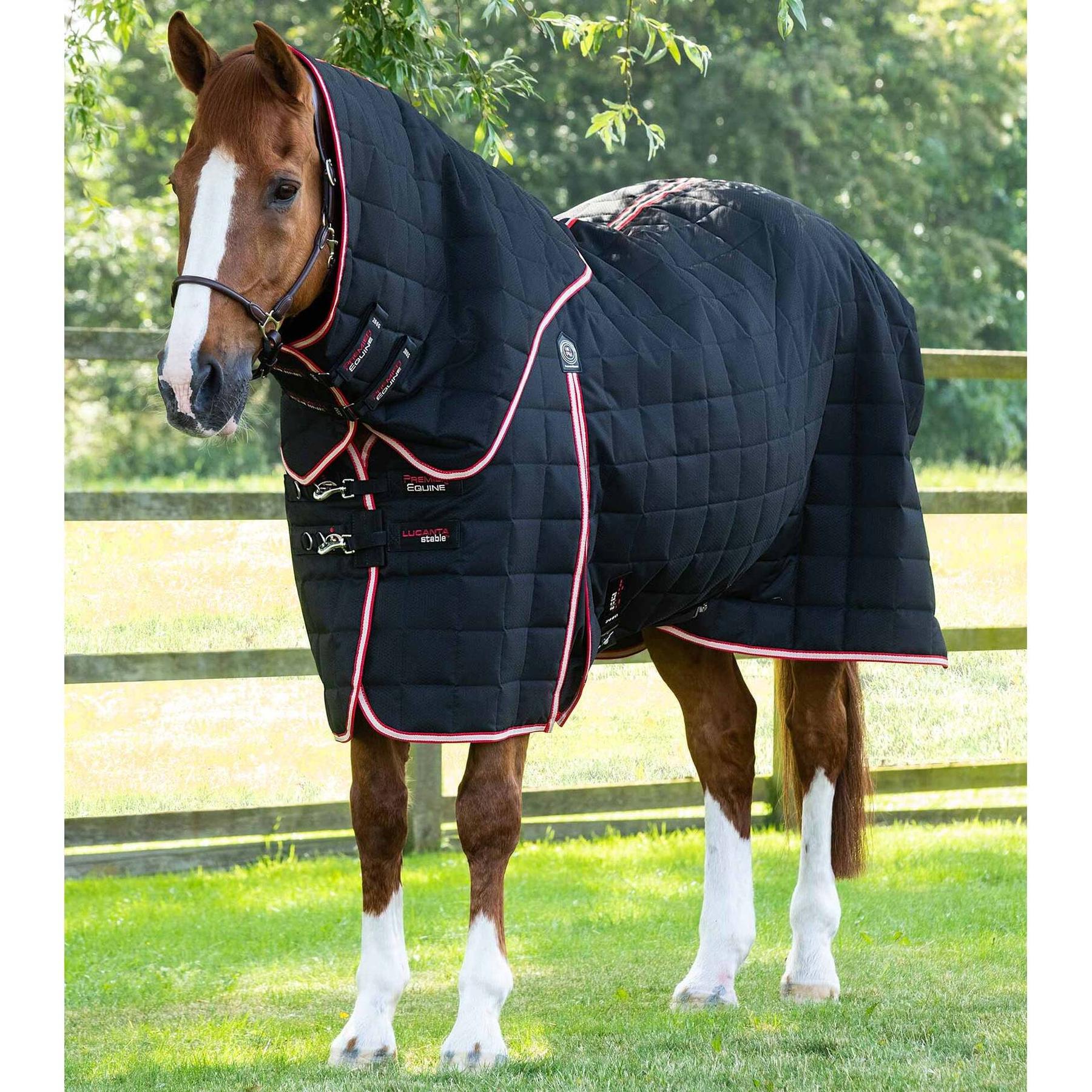 product/p/r/premier-equine_214359b_black_1.jpg