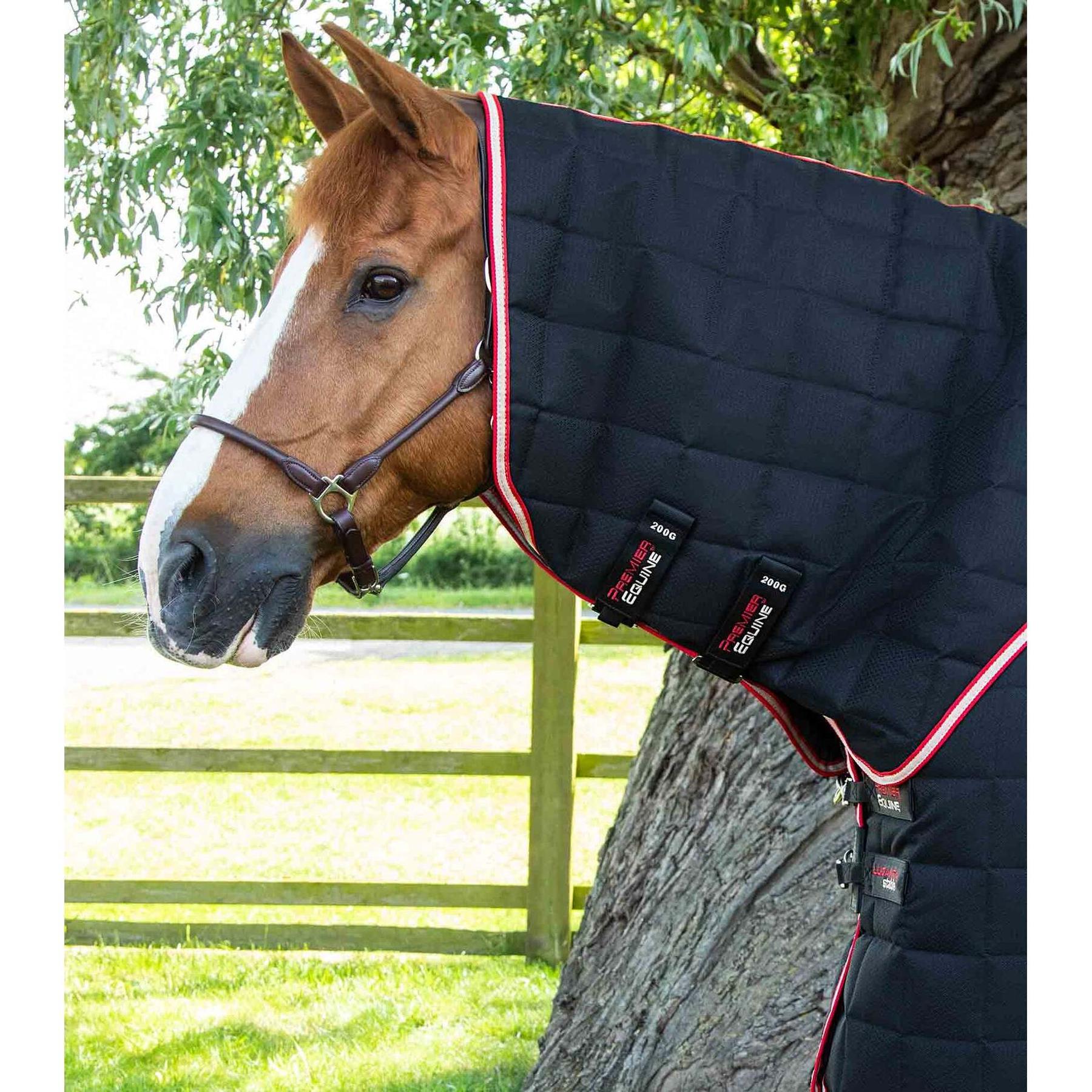 product/p/r/premier-equine_214359b_black_2.jpg
