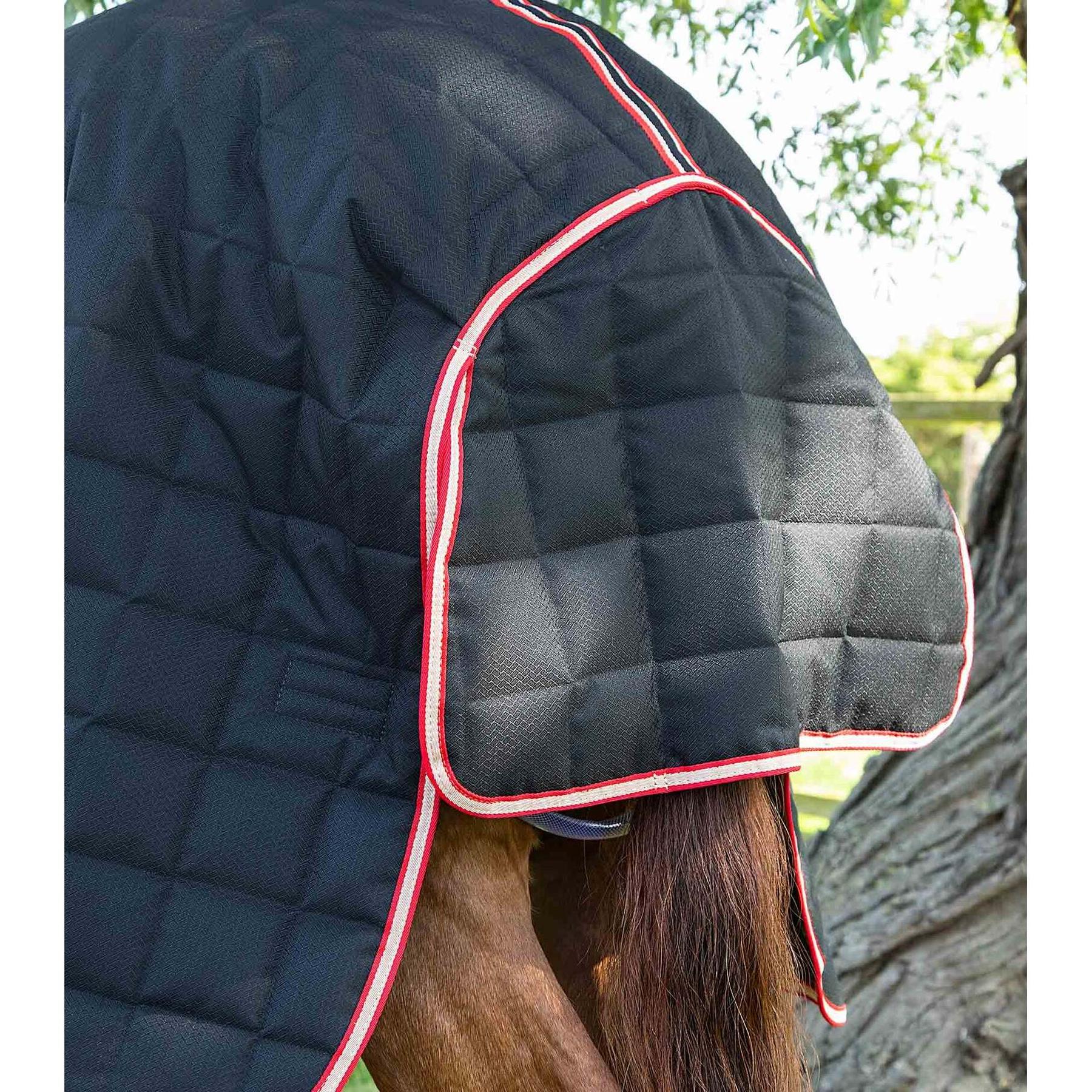 product/p/r/premier-equine_214359b_black_5.jpg