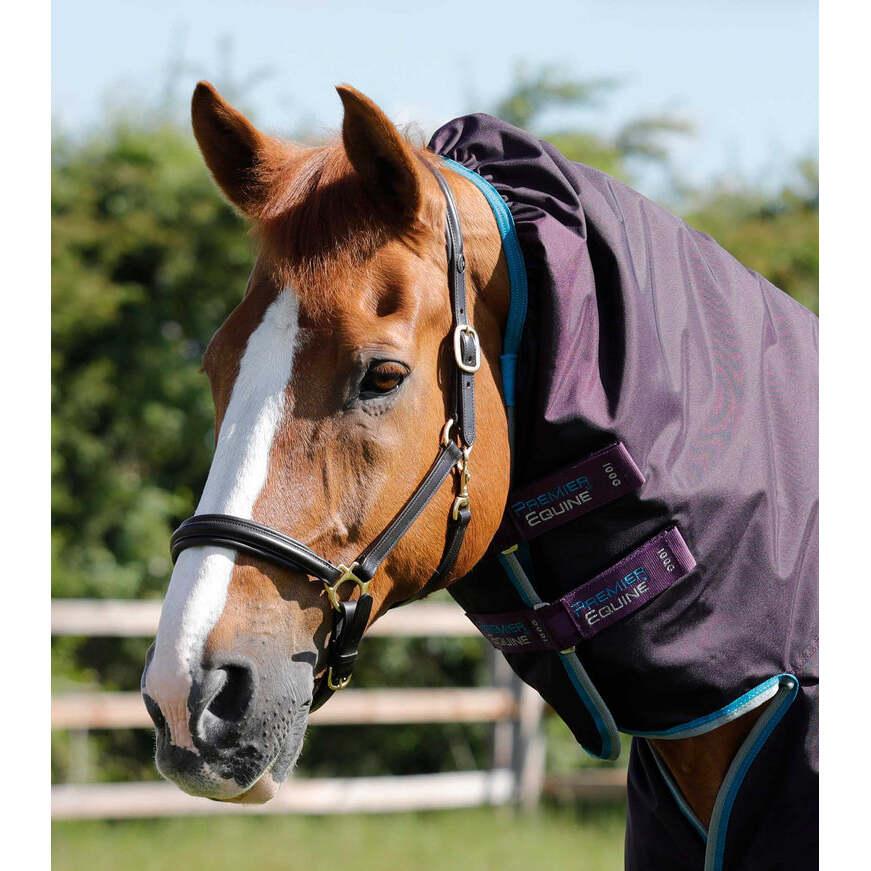 product/p/r/premier-equine_217150prp_purple_2.jpg