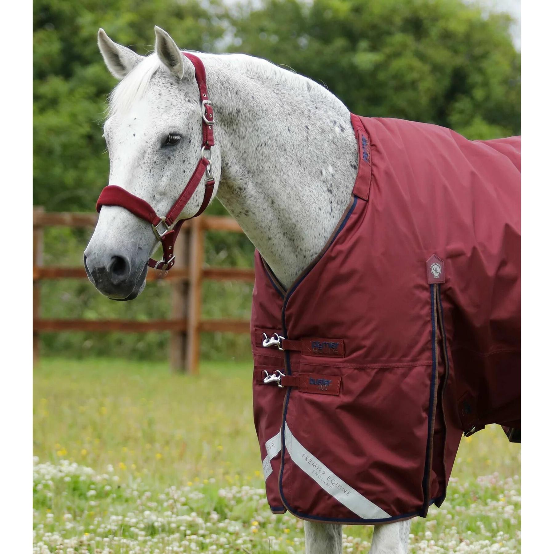 product/p/r/premier-equine_219450brg_1.jpg
