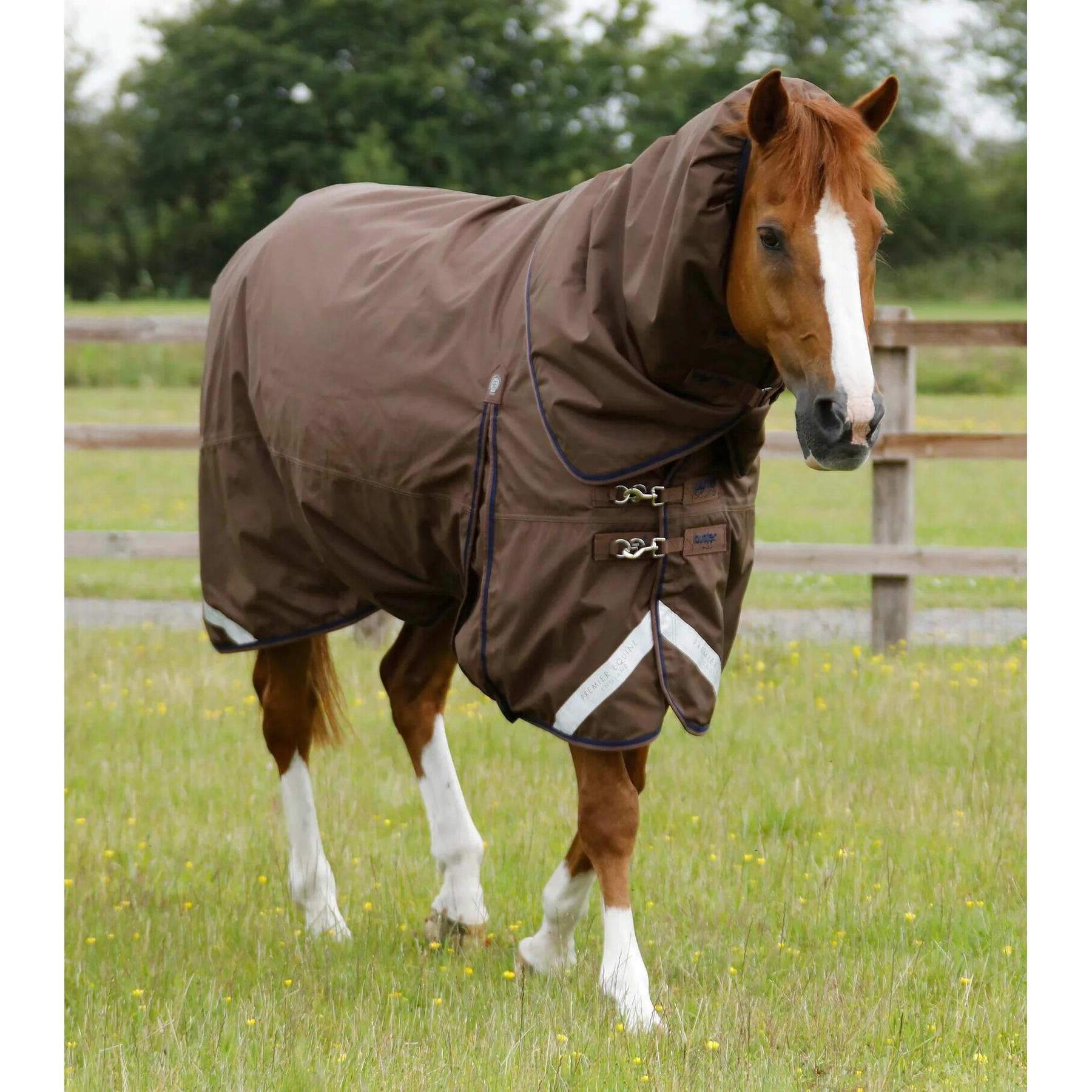 product/p/r/premier-equine_219450brw_1.jpg