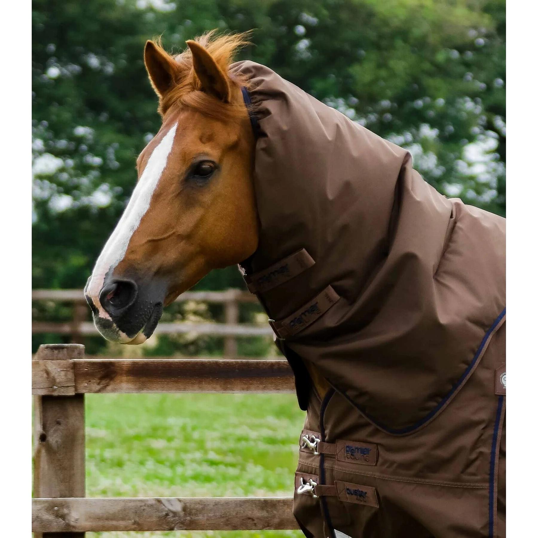 product/p/r/premier-equine_219450brw_2.jpg